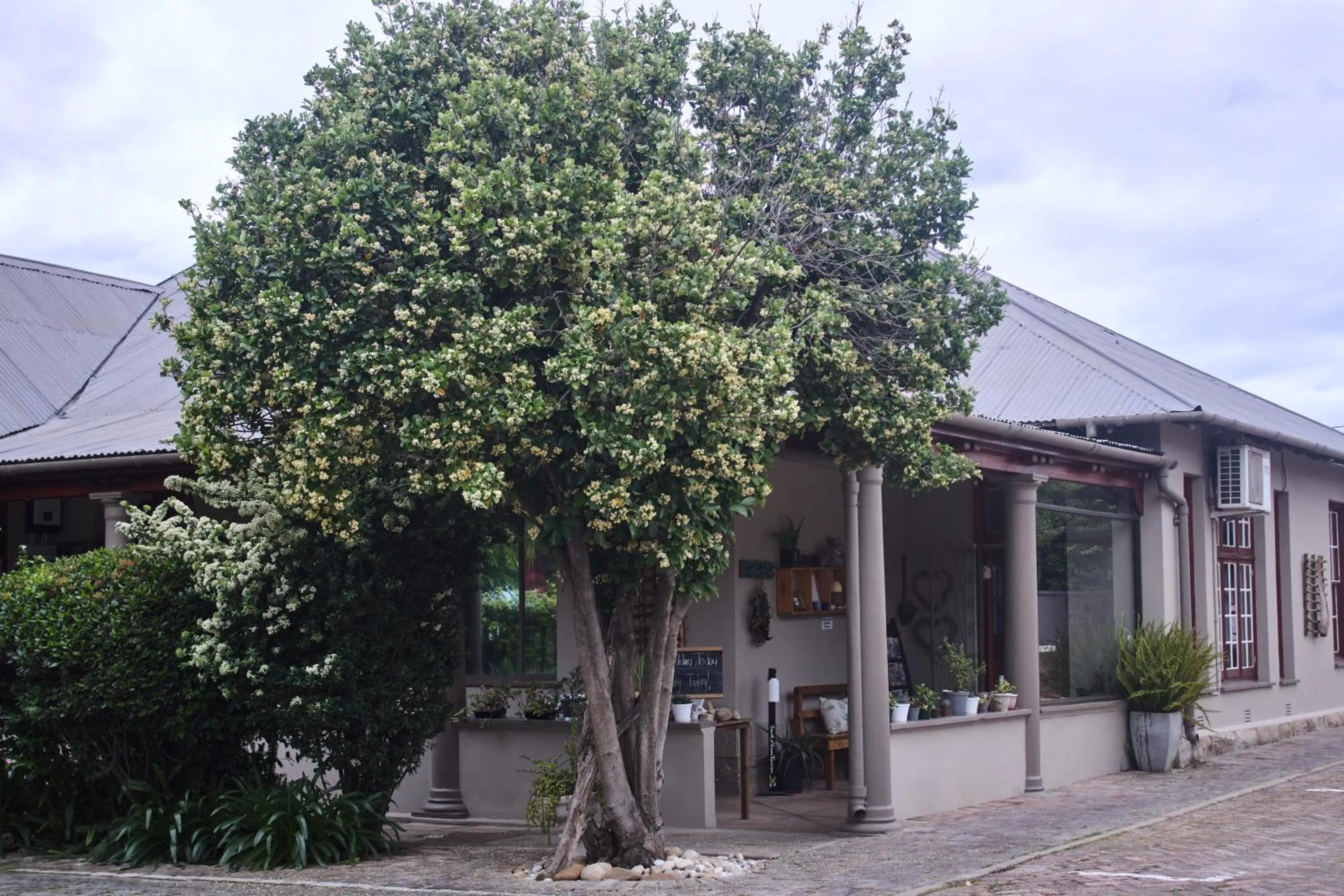 Property building in De Akker Guest House Oudtshoorn