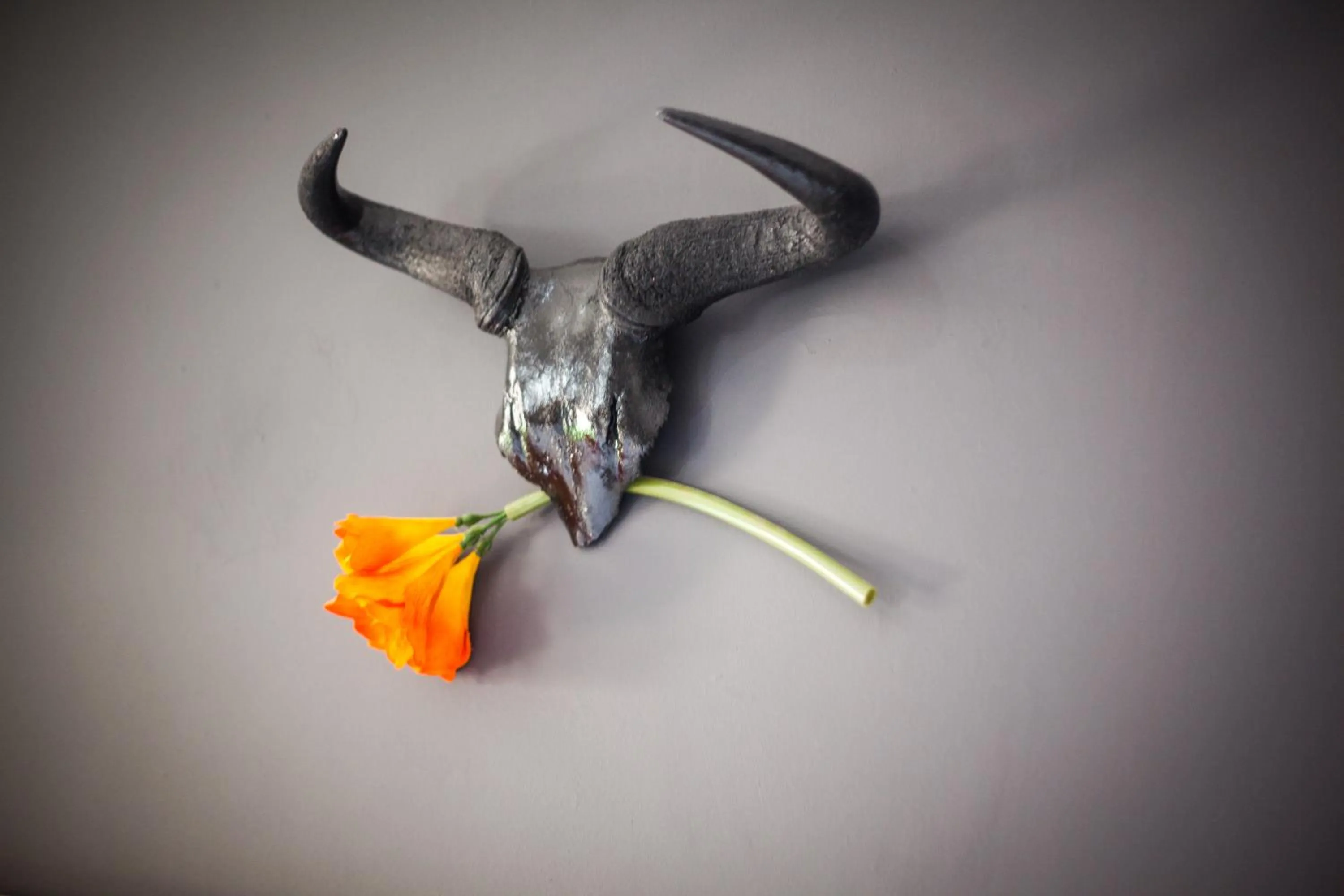 Decorative detail in De Akker Guest House Oudtshoorn