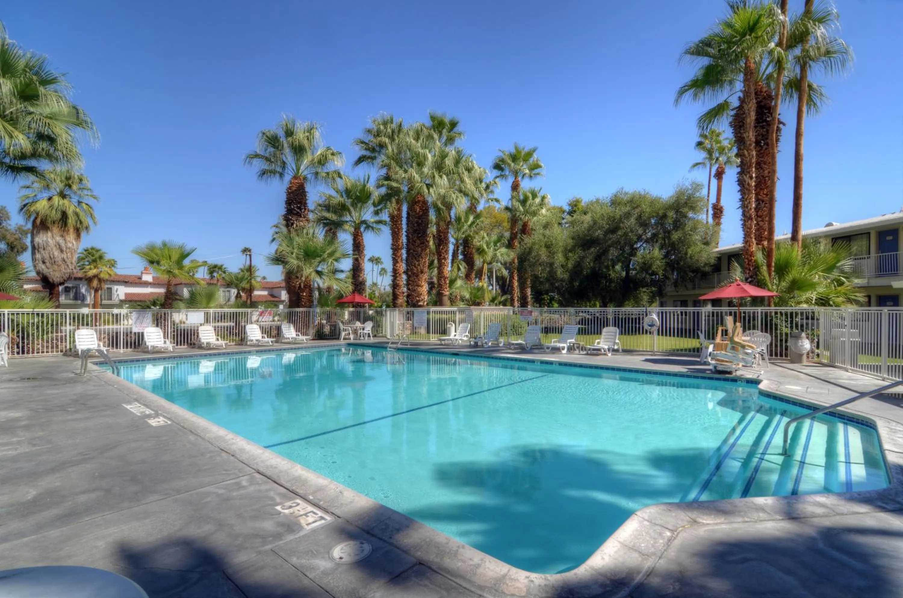 Swimming pool in Motel 6-Palm Springs, CA - East - Palm Canyon