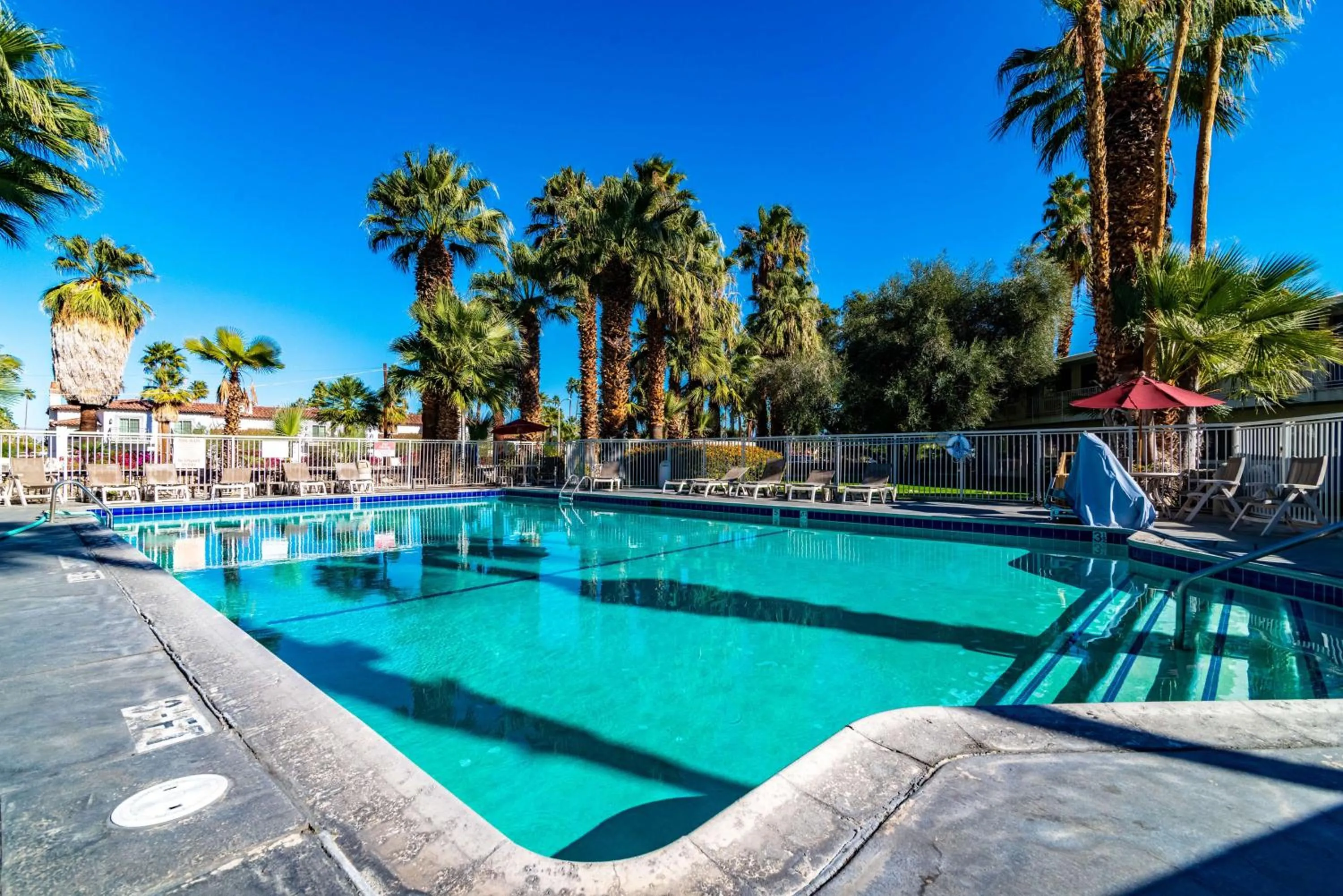 Pool view in Motel 6-Palm Springs, CA - East - Palm Canyon