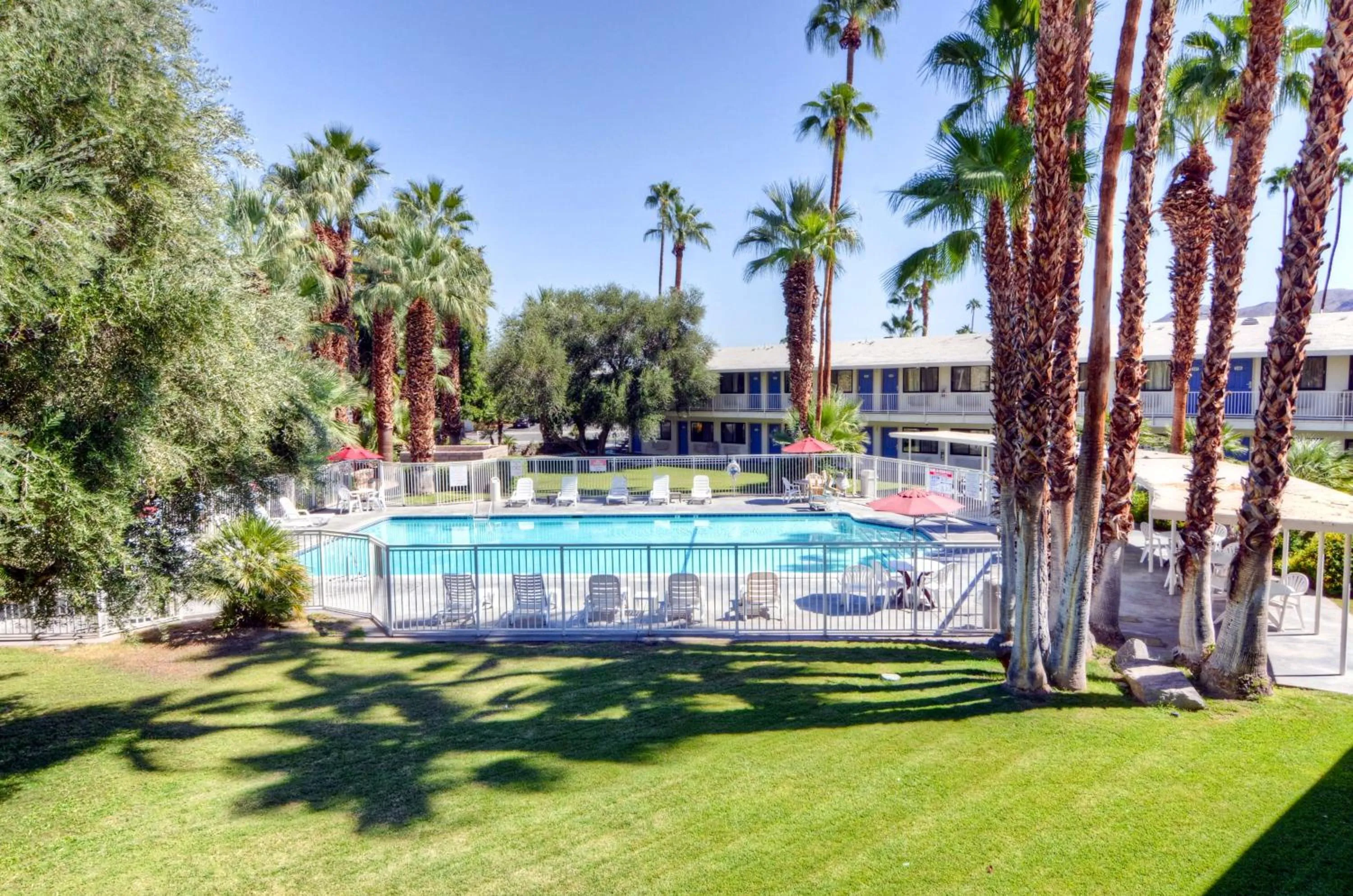 Pool view in Motel 6-Palm Springs, CA - East - Palm Canyon