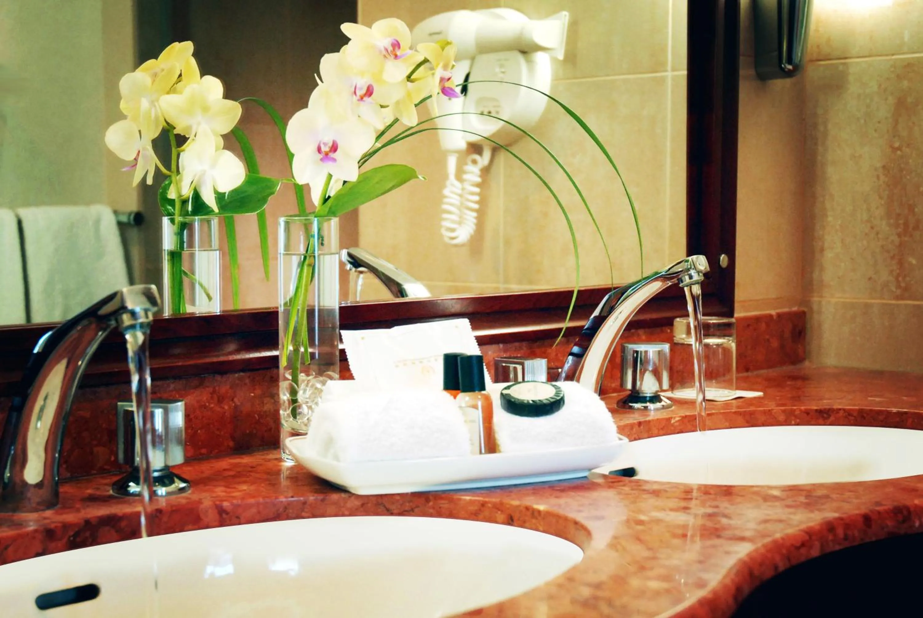 Bathroom in Evergreen Laurel Hotel