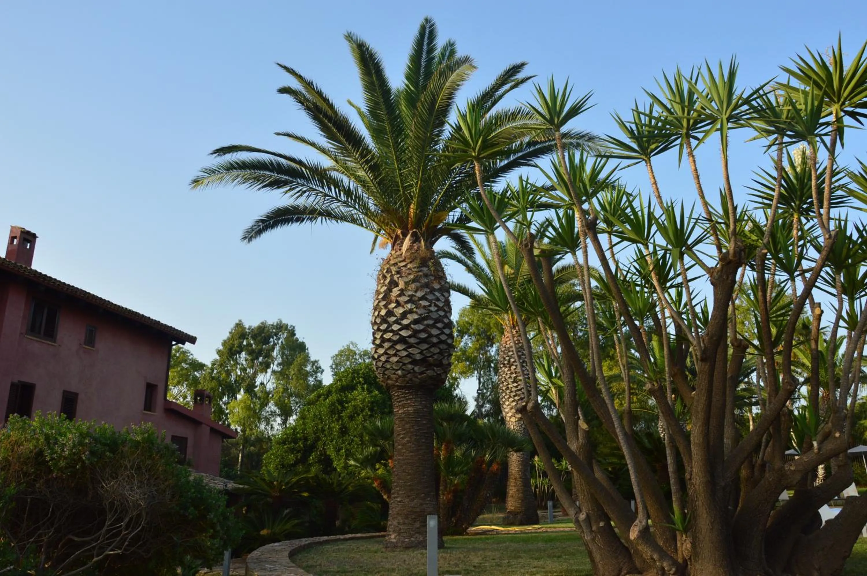 On site in Casa Realia