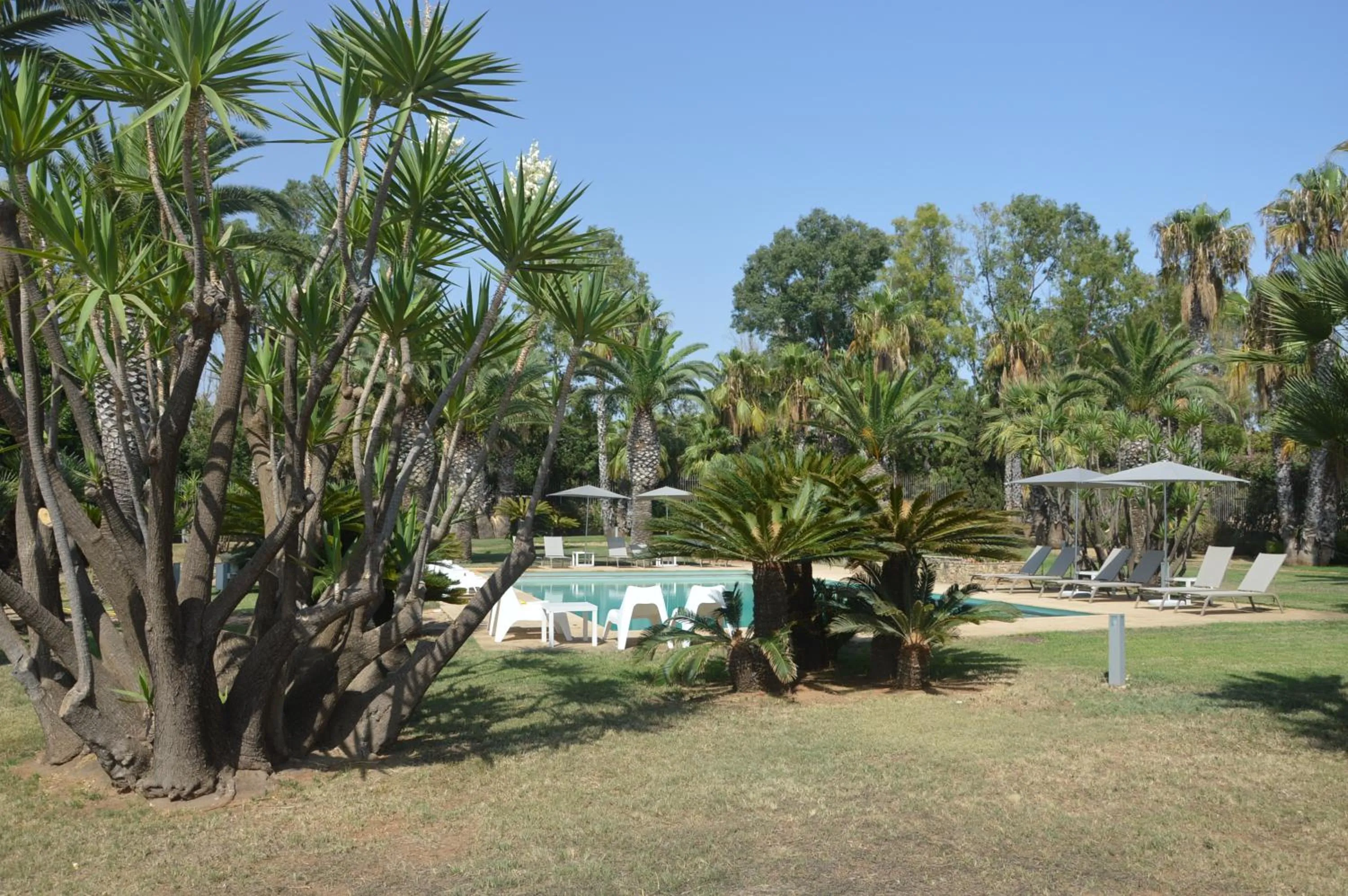 Garden in Casa Realia