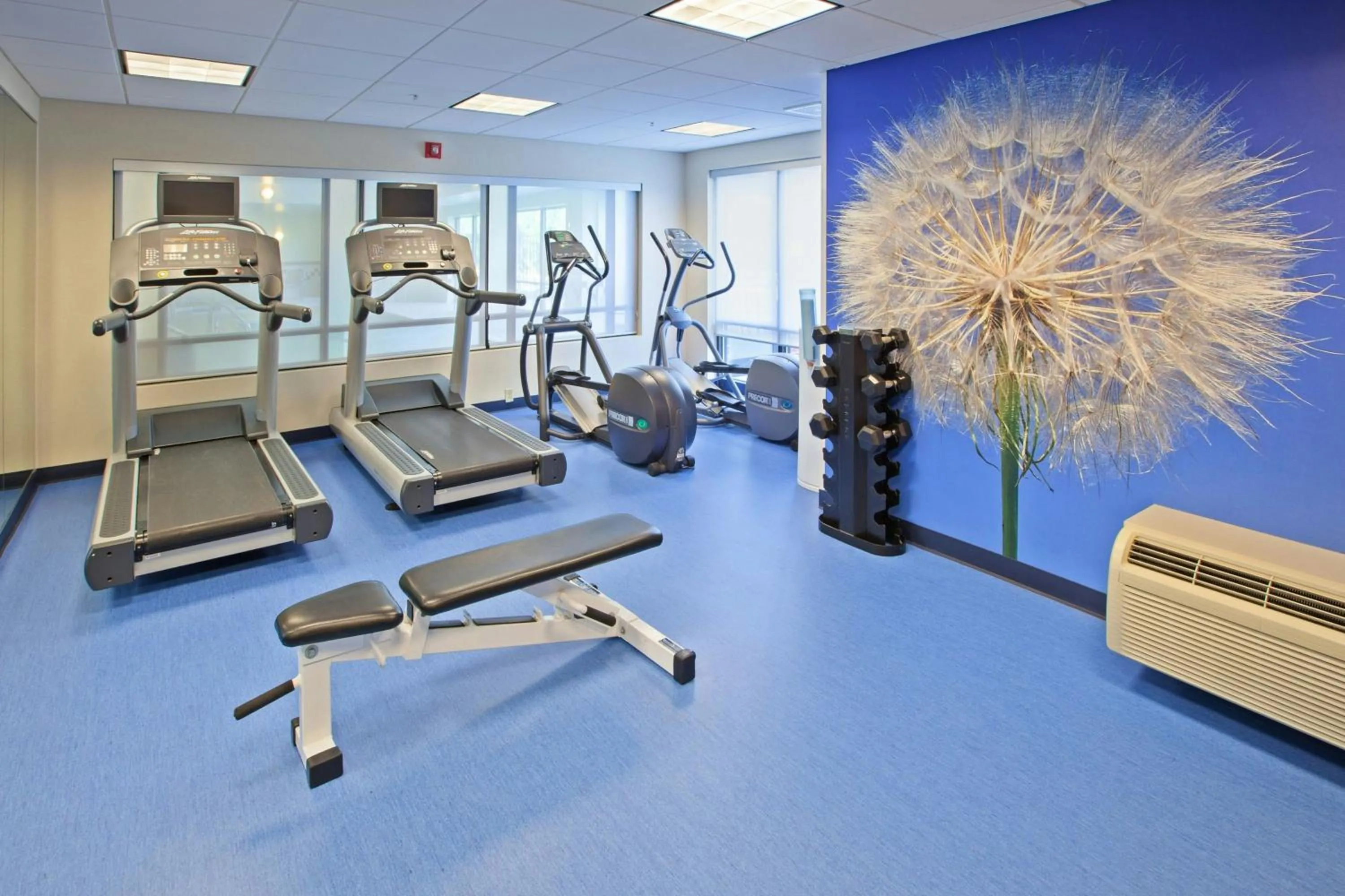 Fitness centre/facilities in Springhill Suites by Marriott Chicago Schaumburg/Woodfield Mall