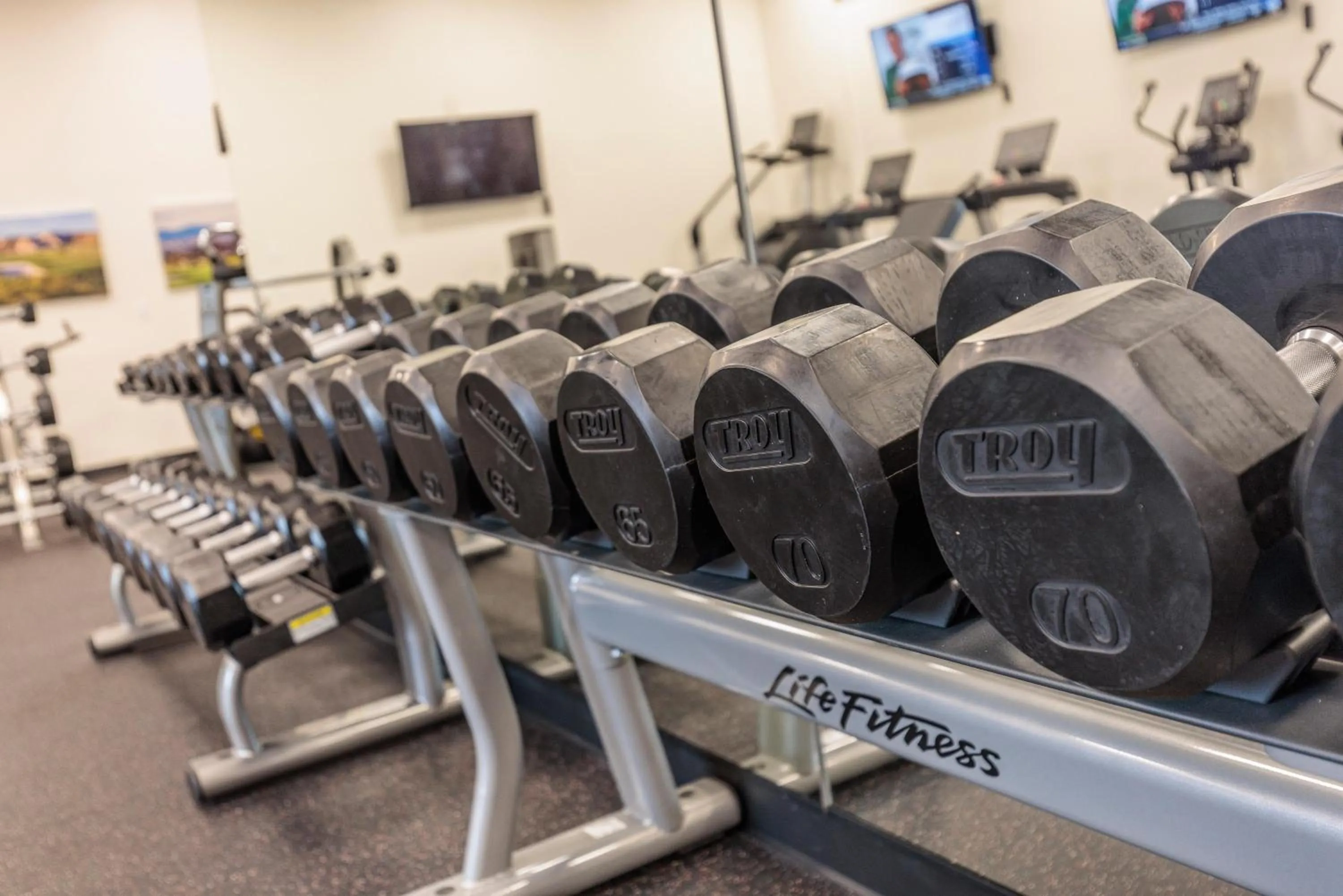 Another Day In Paradise