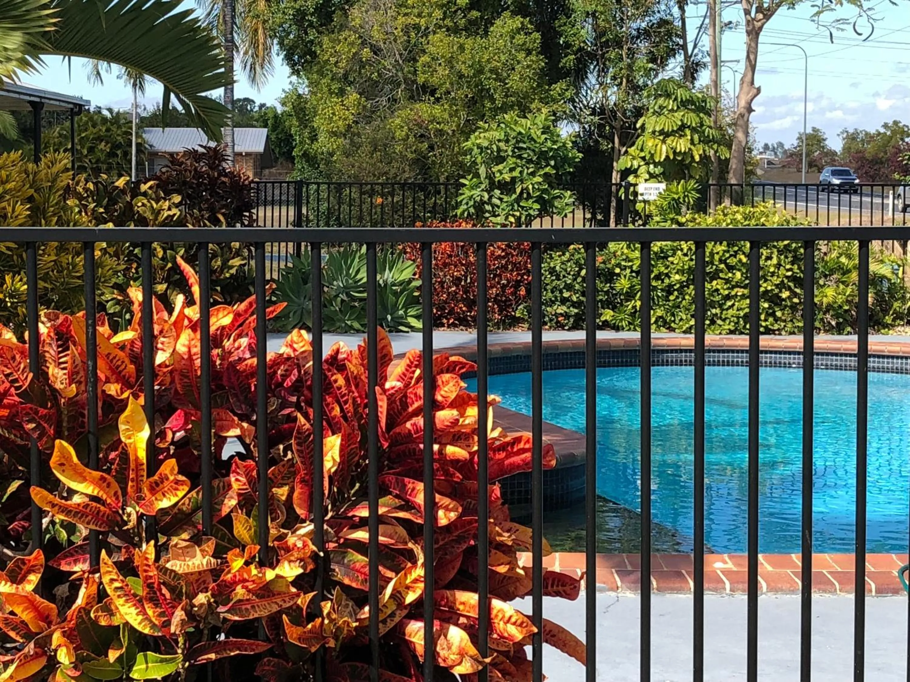 Swimming pool in True Blue Motor Inn