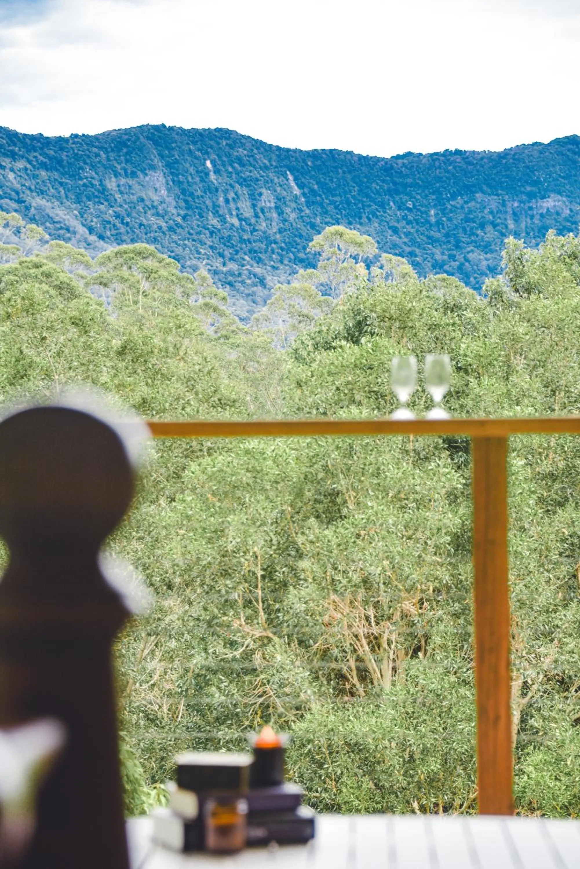 Natural landscape in Silk Pavilions Glamping