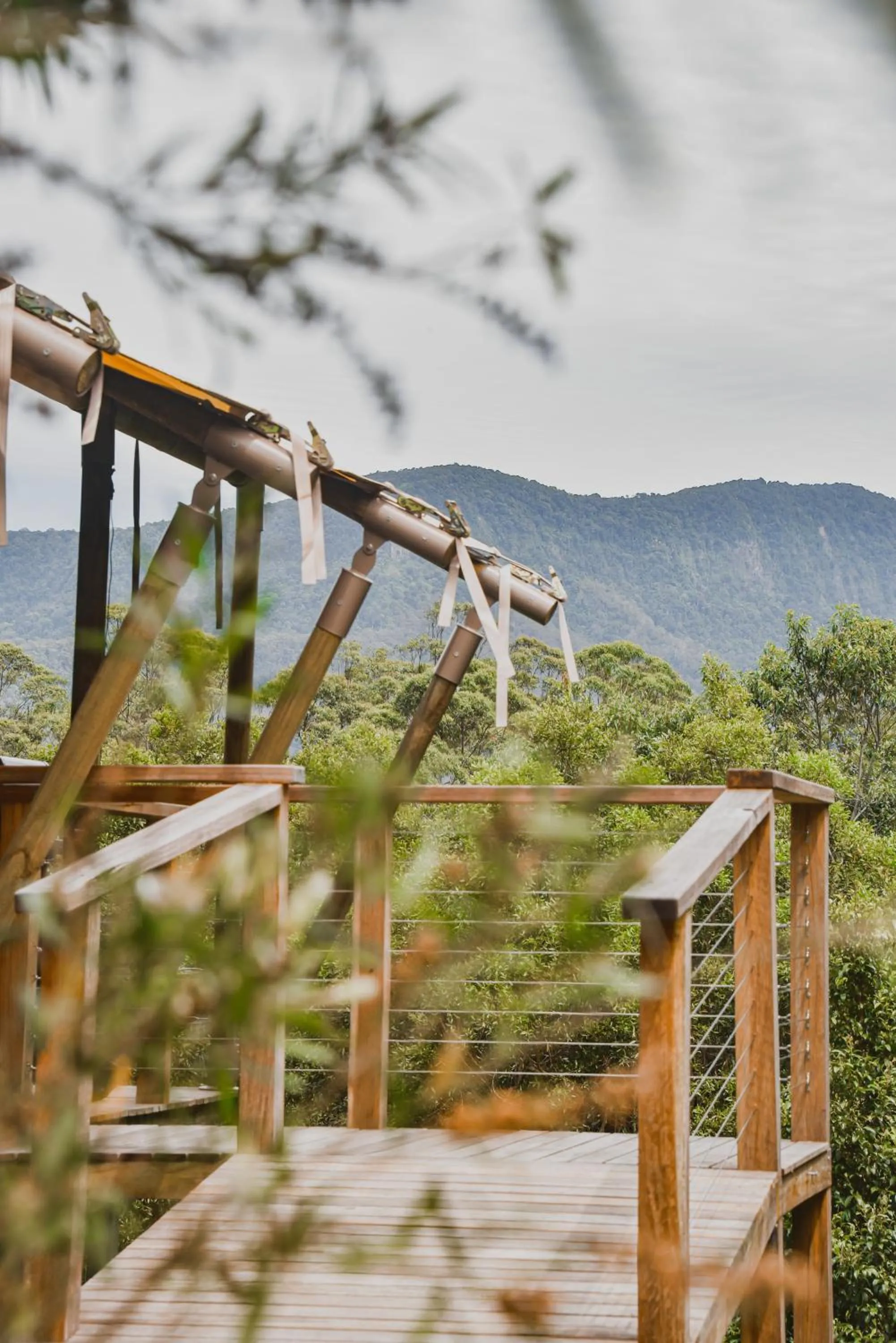 View (from property/room) in Silk Pavilions Glamping