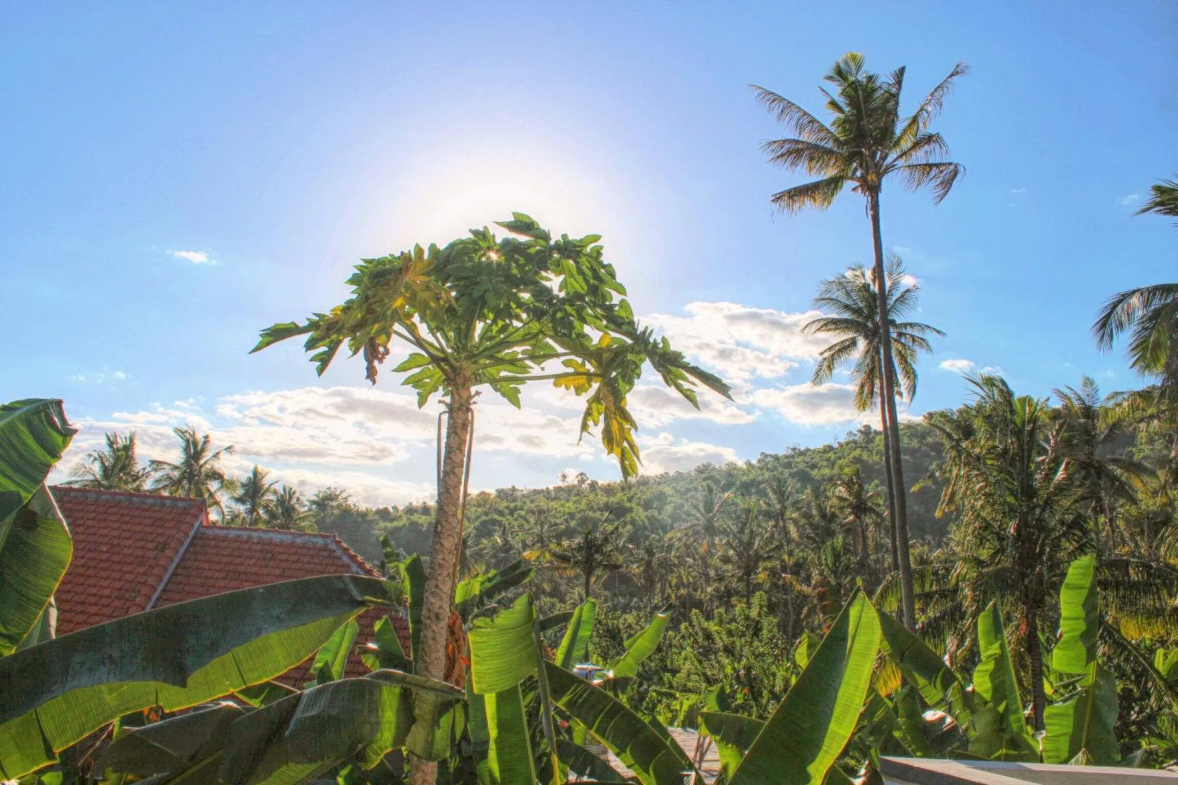 Day in Serangan Inn Mimba