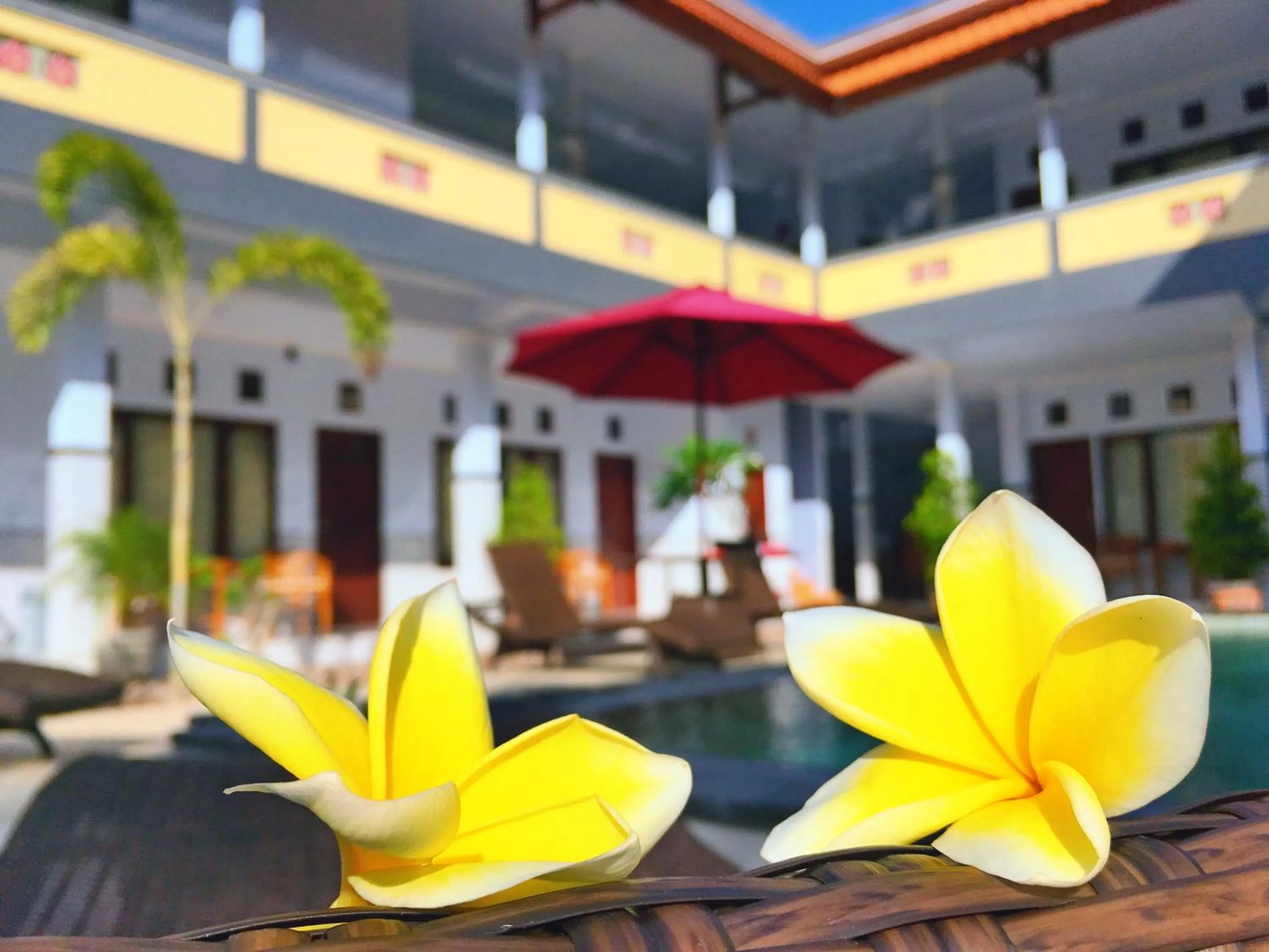 Summer in Serangan Inn Mimba