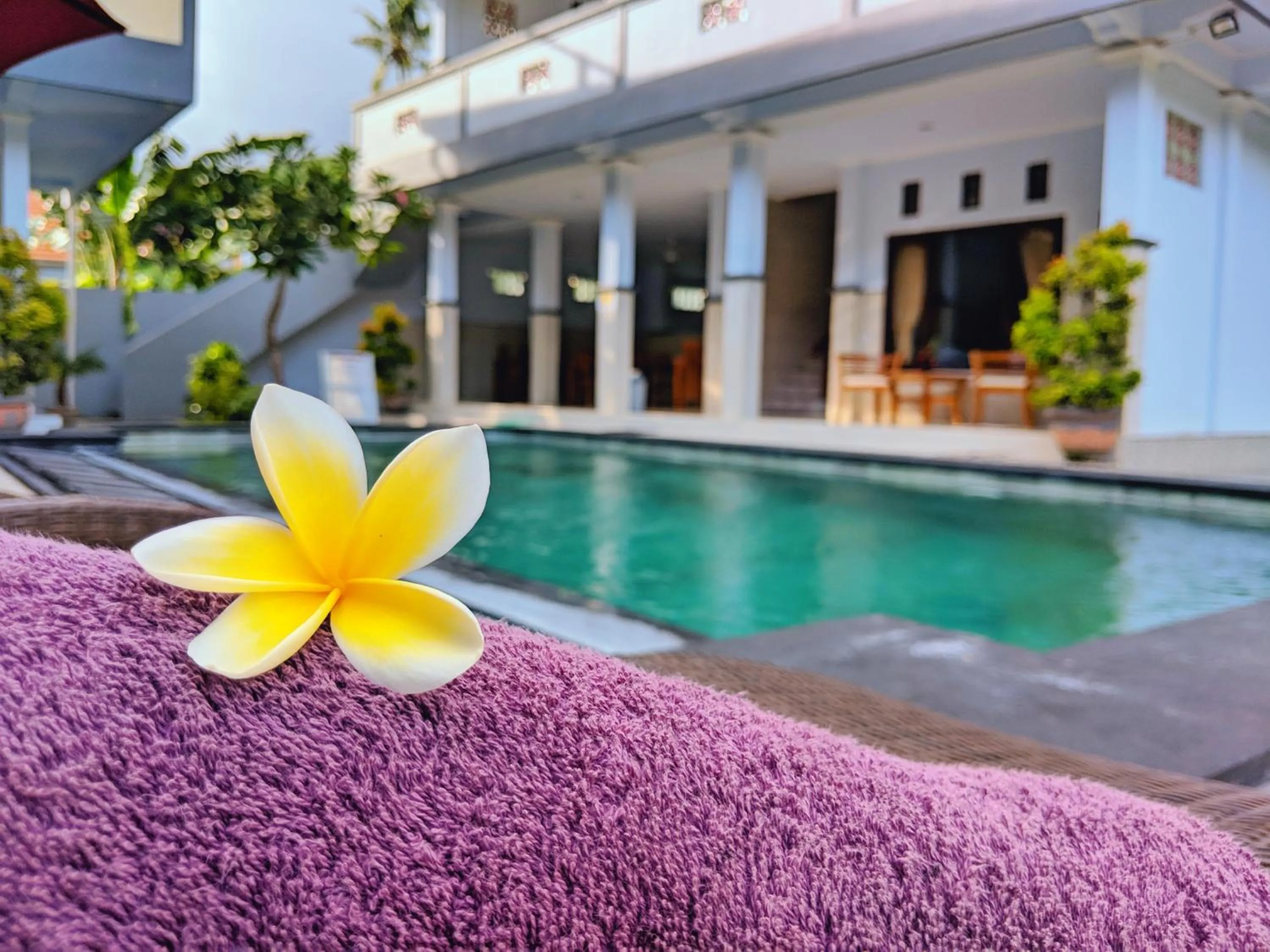 Pool view in Serangan Inn Mimba