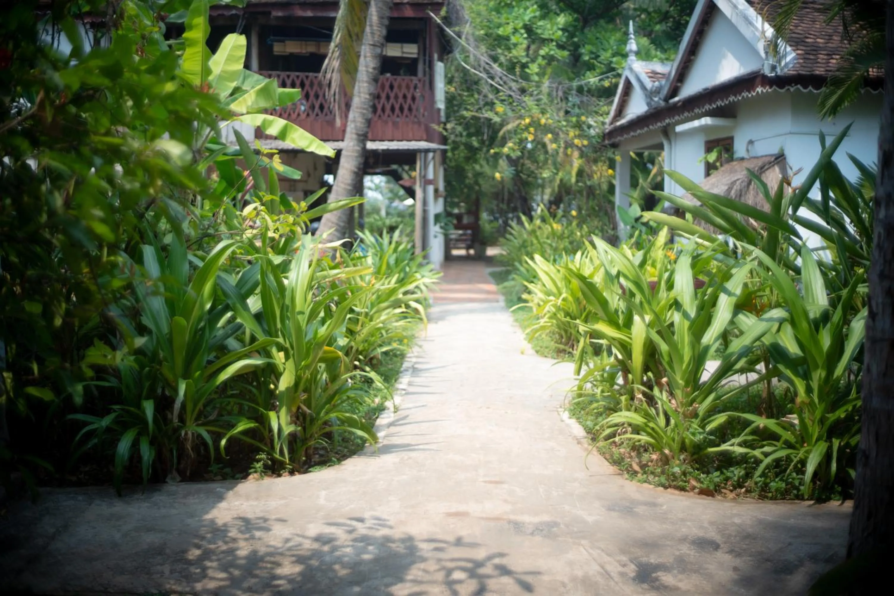 Sambor Village Hotel