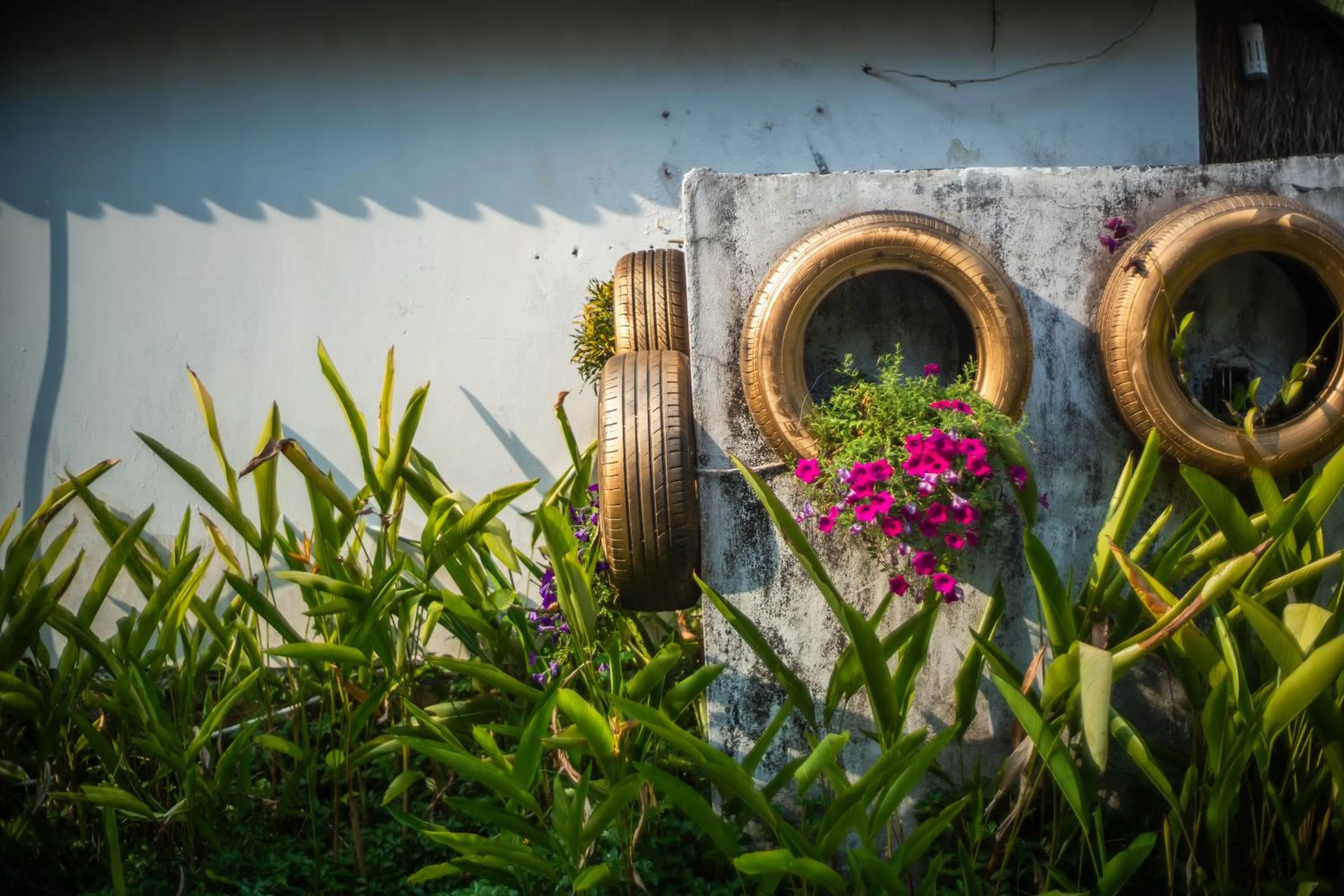 Garden in Sambor Village Hotel
