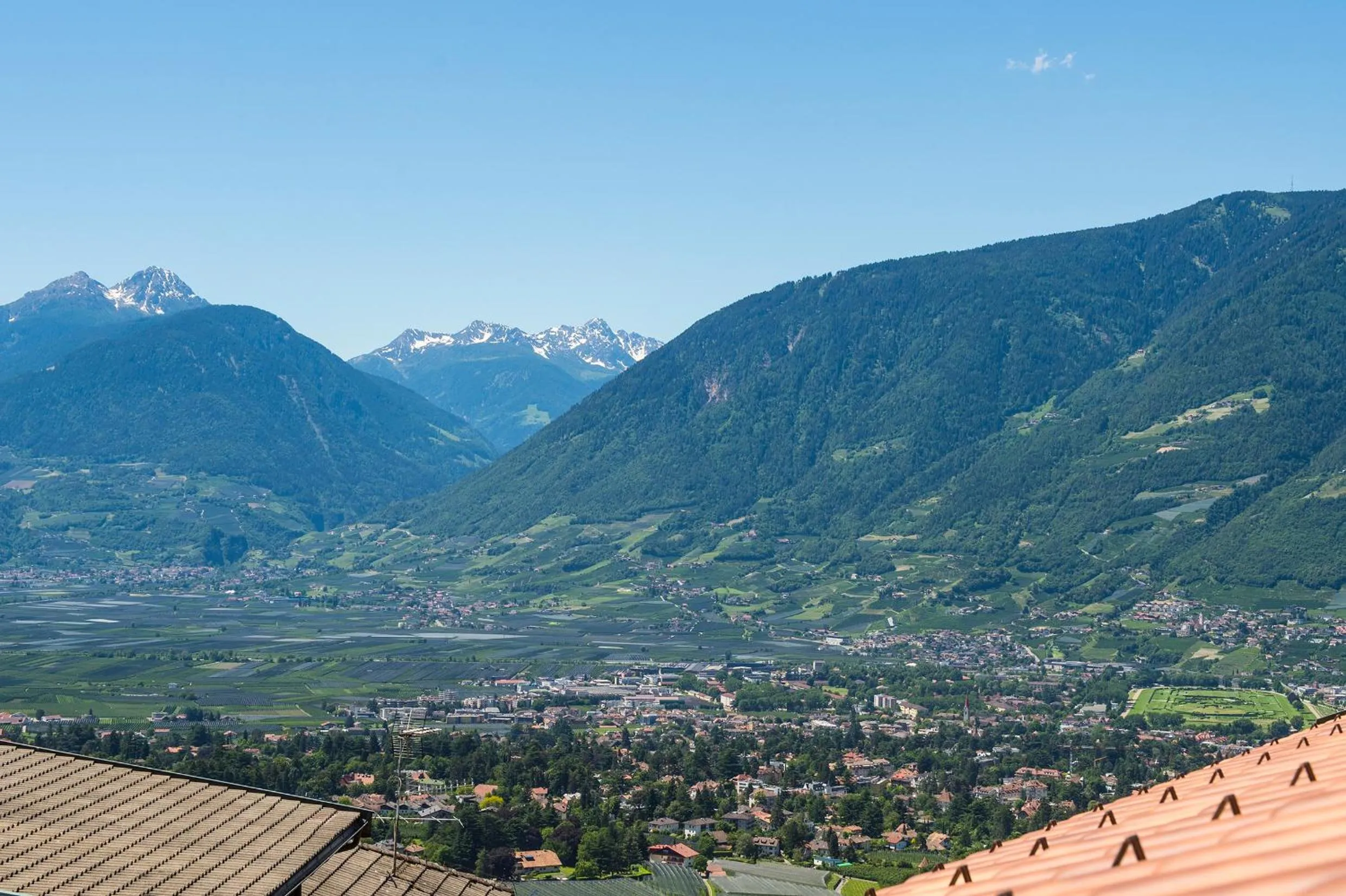 Natural landscape in Hotel-Garni Ehrenfels
