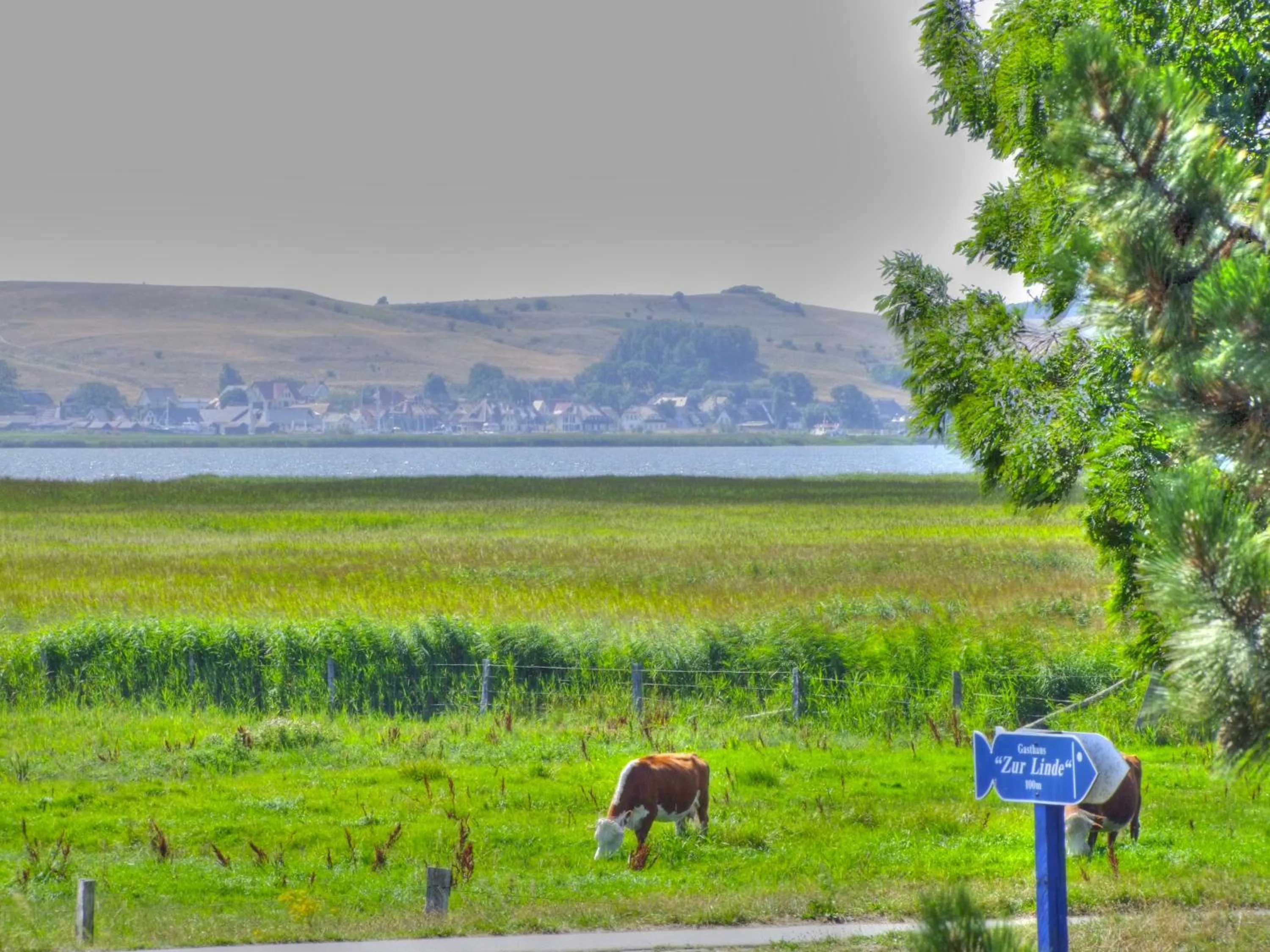 Lake view in Hotel & Gasthof Zur Linde