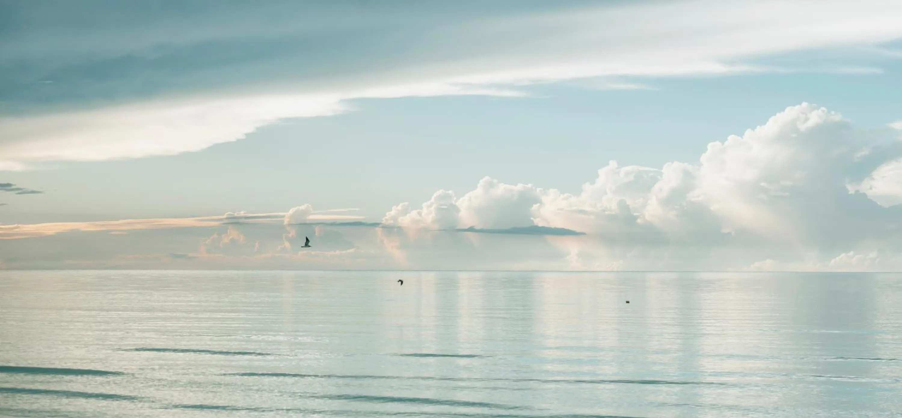 Beach in Tekio Beach Hotel