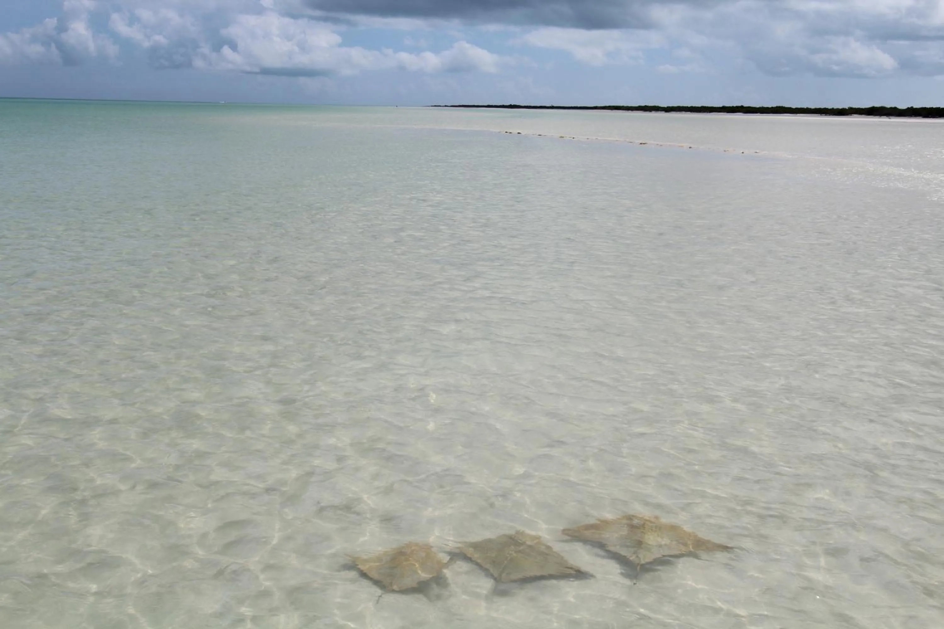Beach in Tekio Beach Hotel