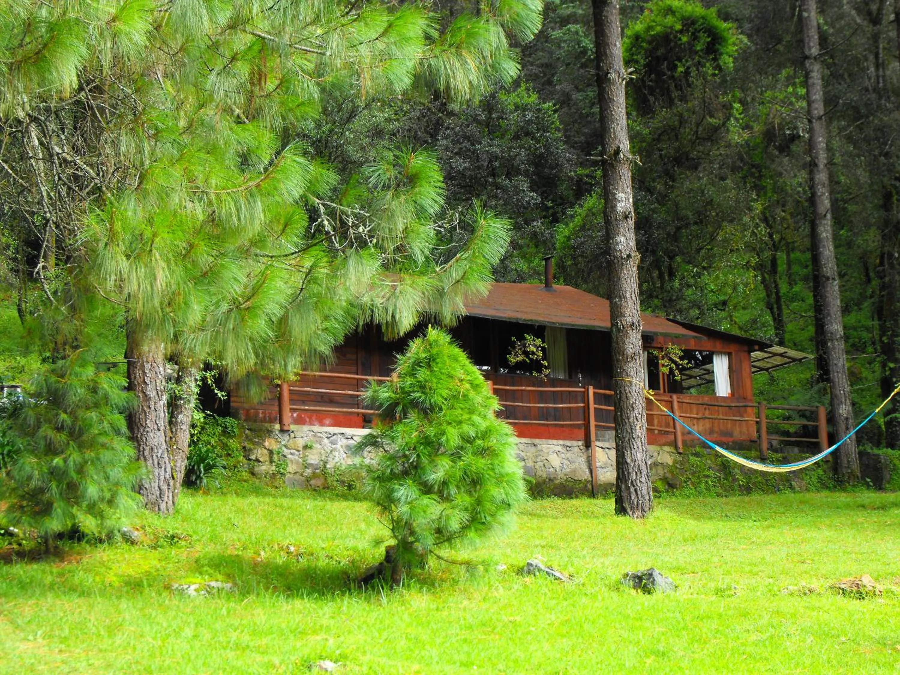 Chalet - single occupancy in Cabañas Alpinas López Fontes