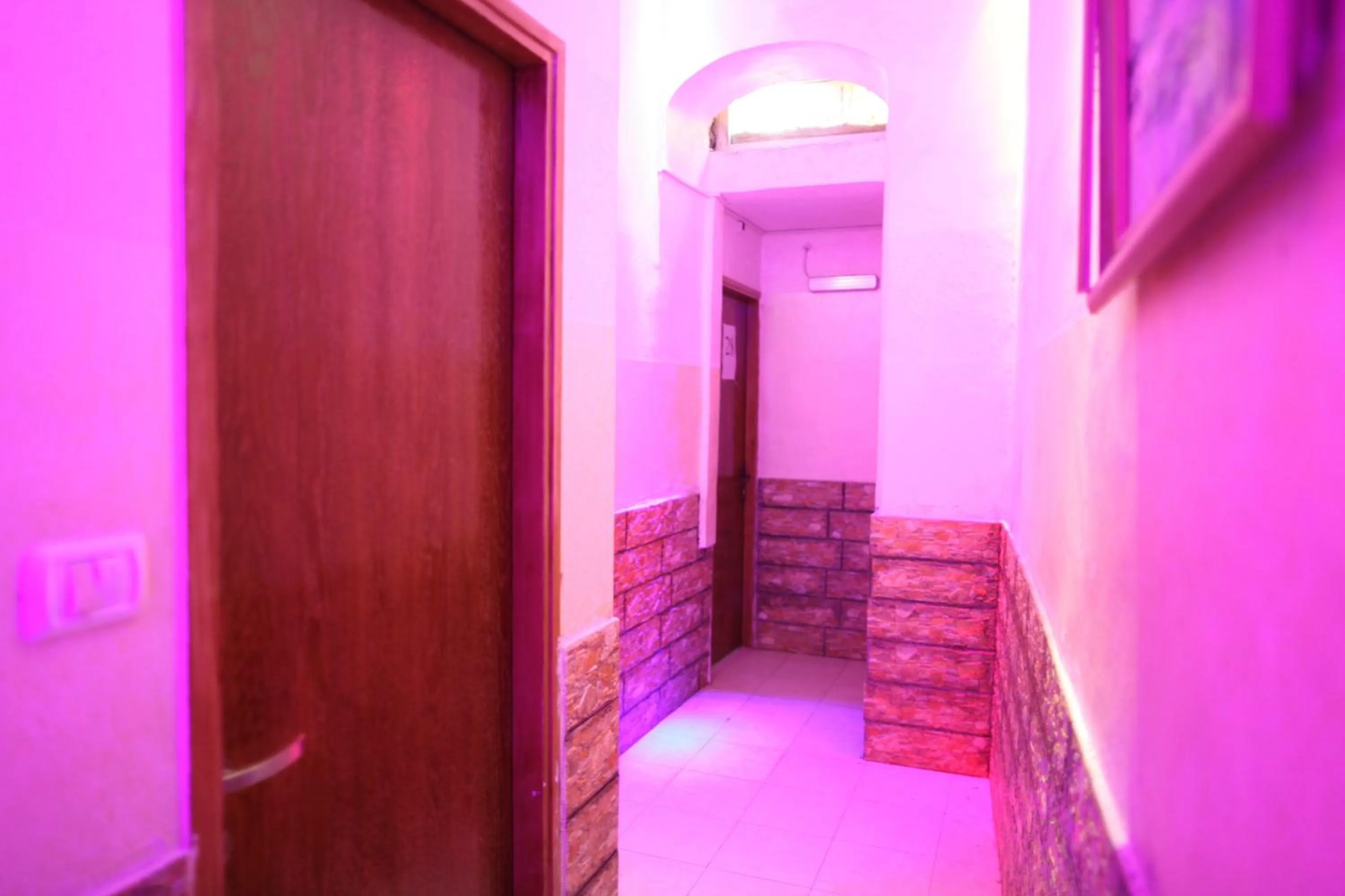 Decorative detail in Palm Hostel