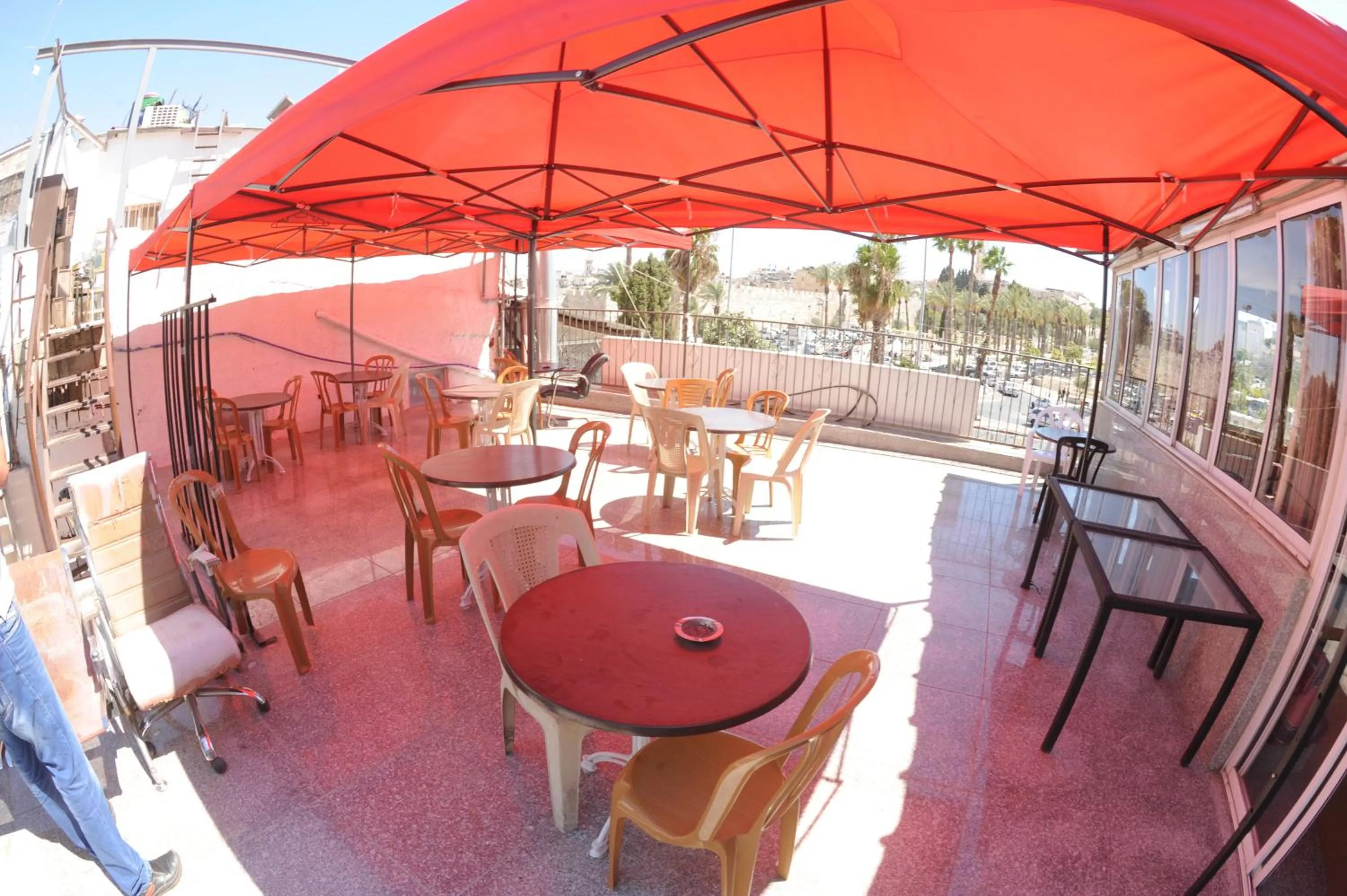 Balcony/Terrace in Palm Hostel