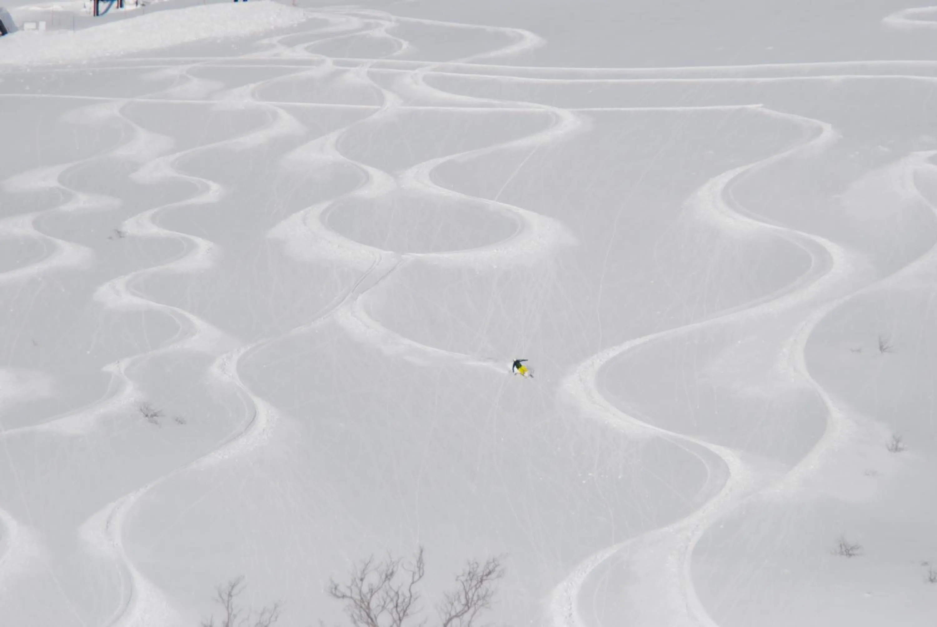 Skiing in Annupuri Oasis Lodge
