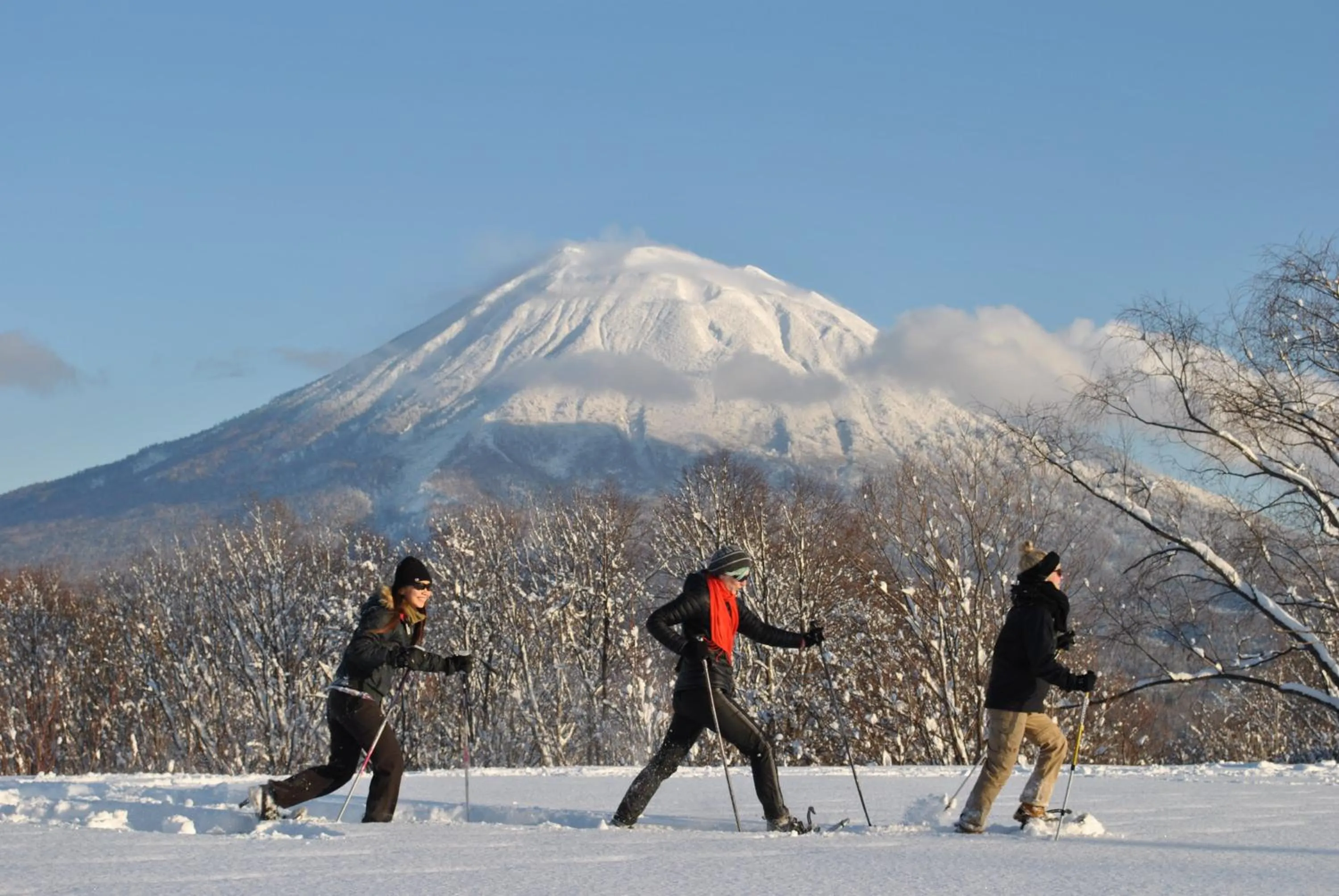 Winter in Annupuri Oasis Lodge