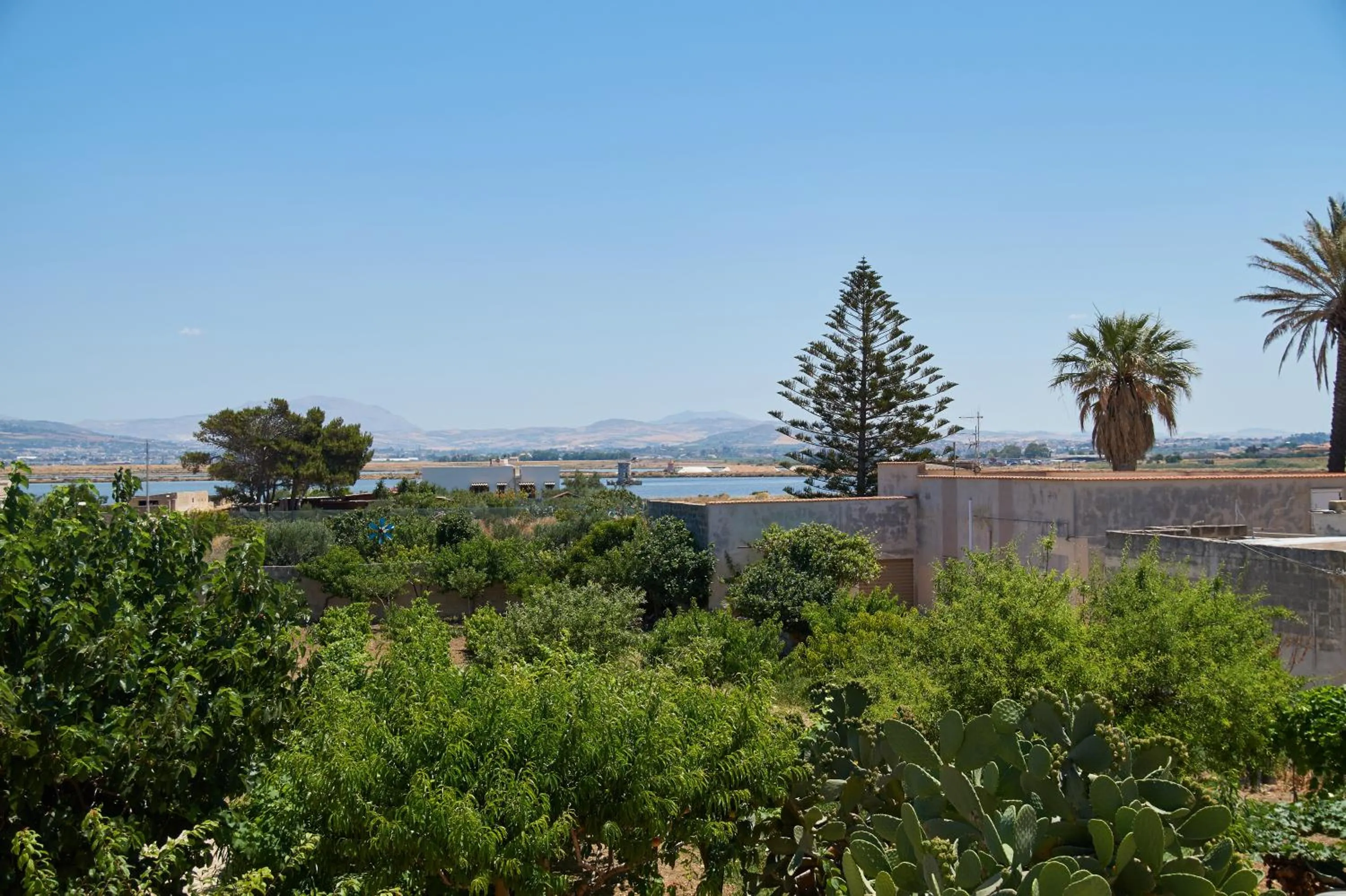 Garden in Casolare Nelle Saline