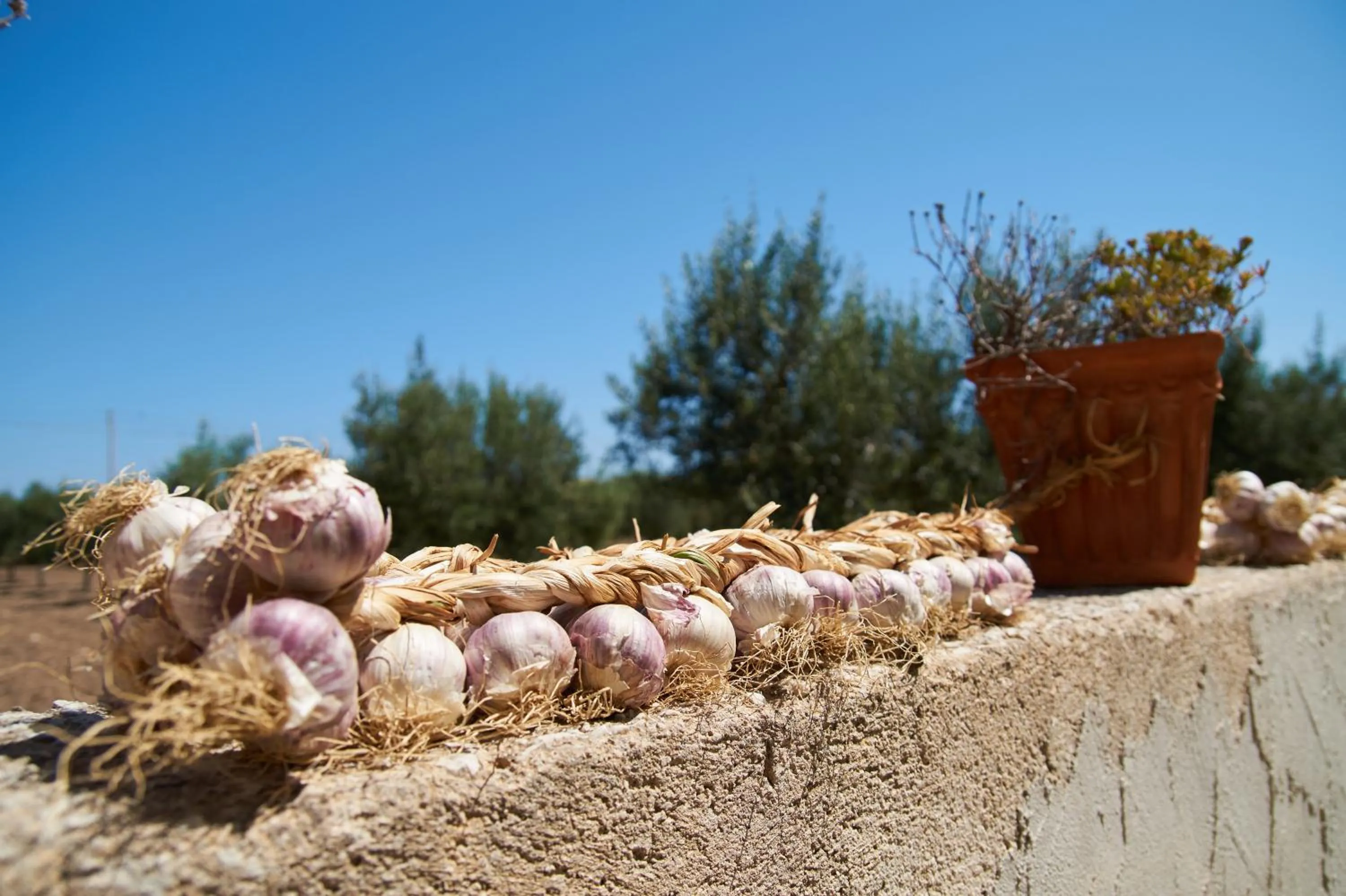 Activities in Casolare Nelle Saline