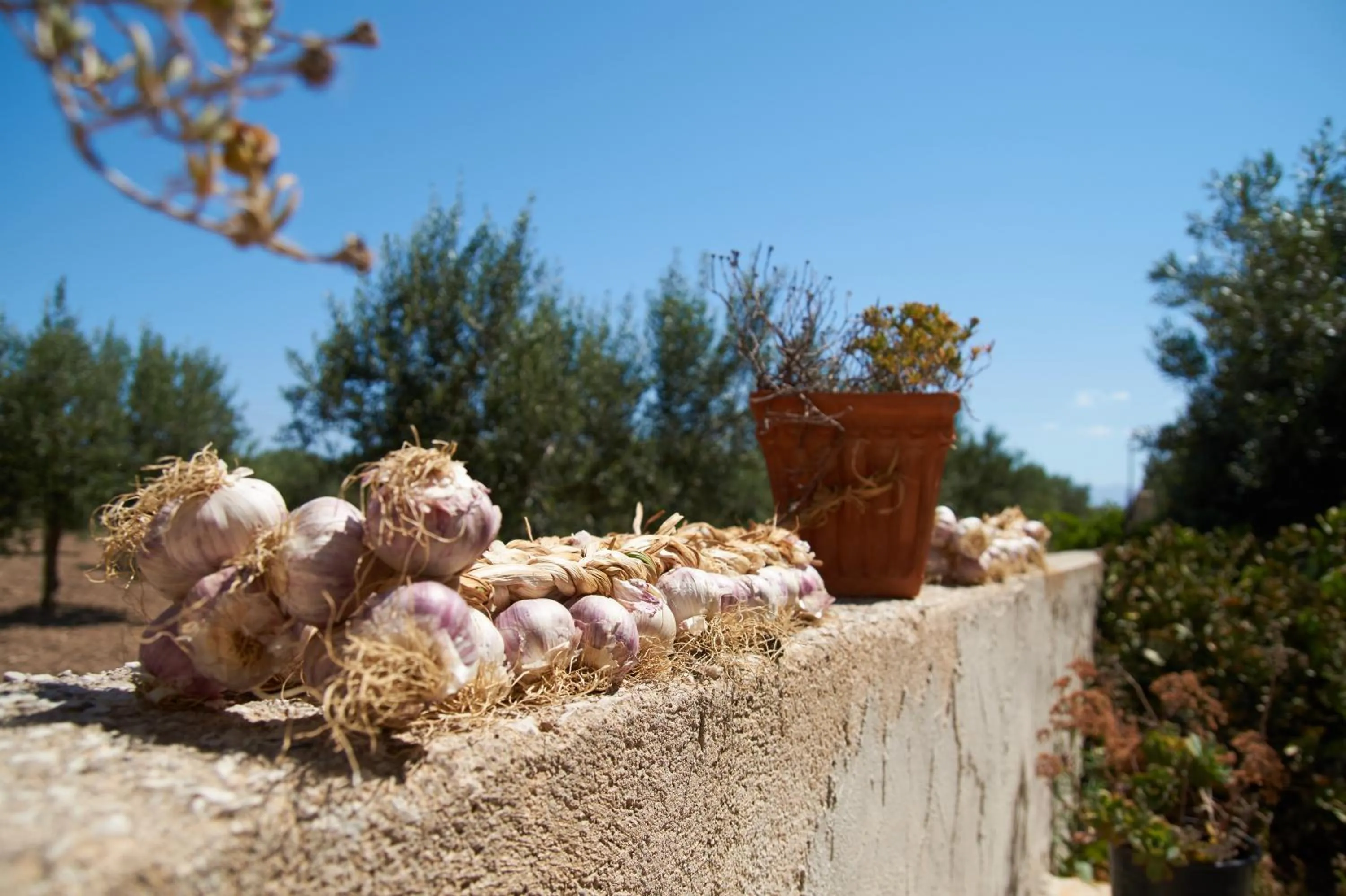 Food in Casolare Nelle Saline