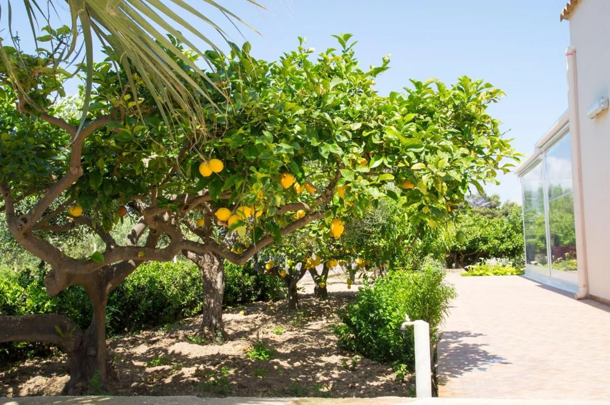 Garden in Casolare Nelle Saline
