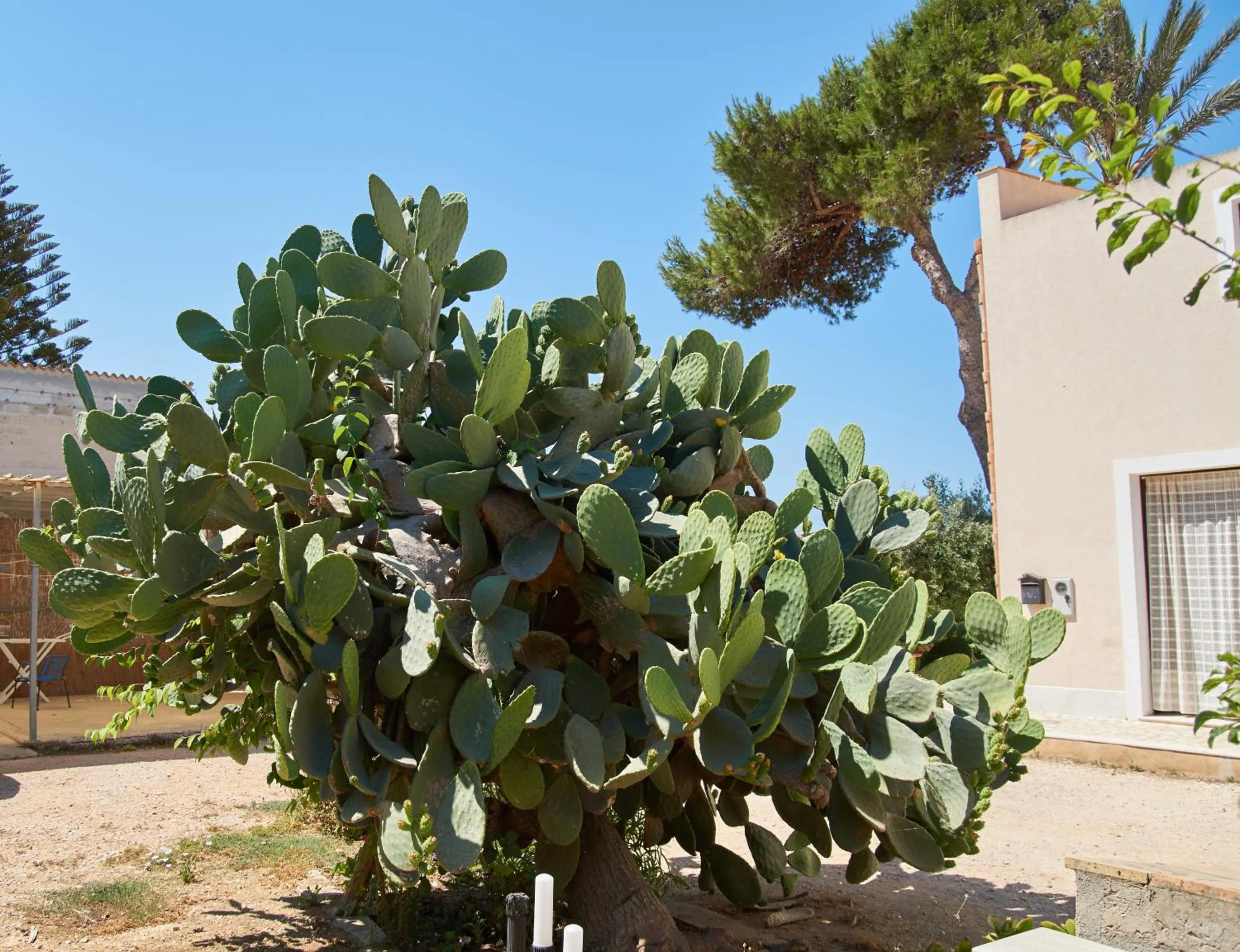 Patio in Casolare Nelle Saline