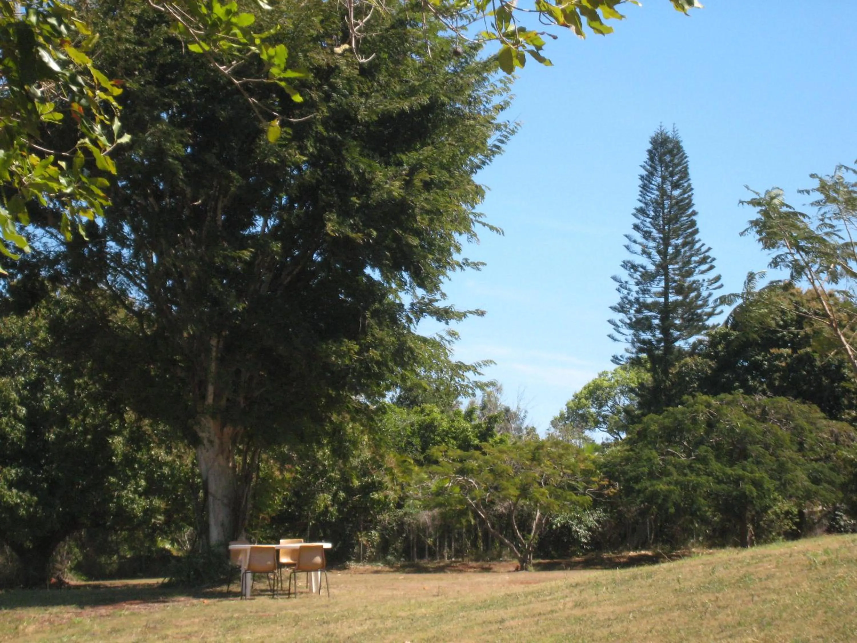 Day in Childers Budget Accommodation