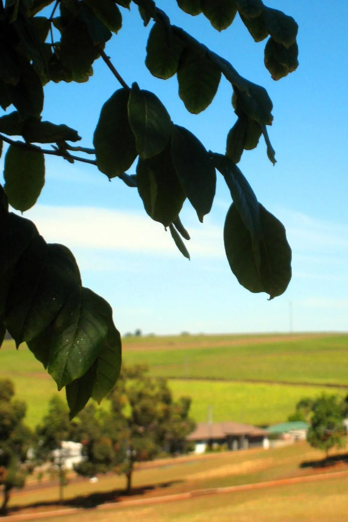 Day in Childers Budget Accommodation