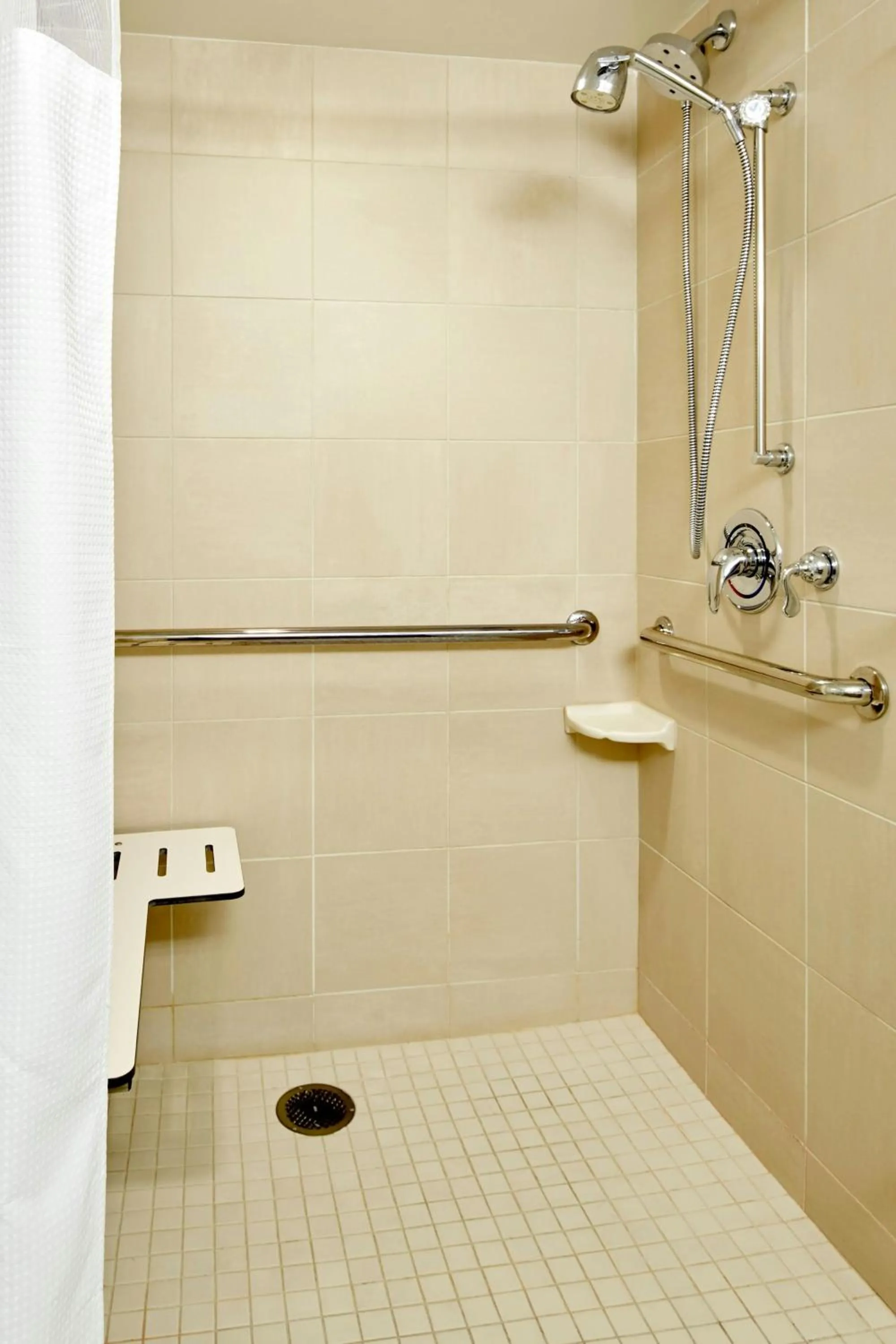 Bathroom in Courtyard Hamilton