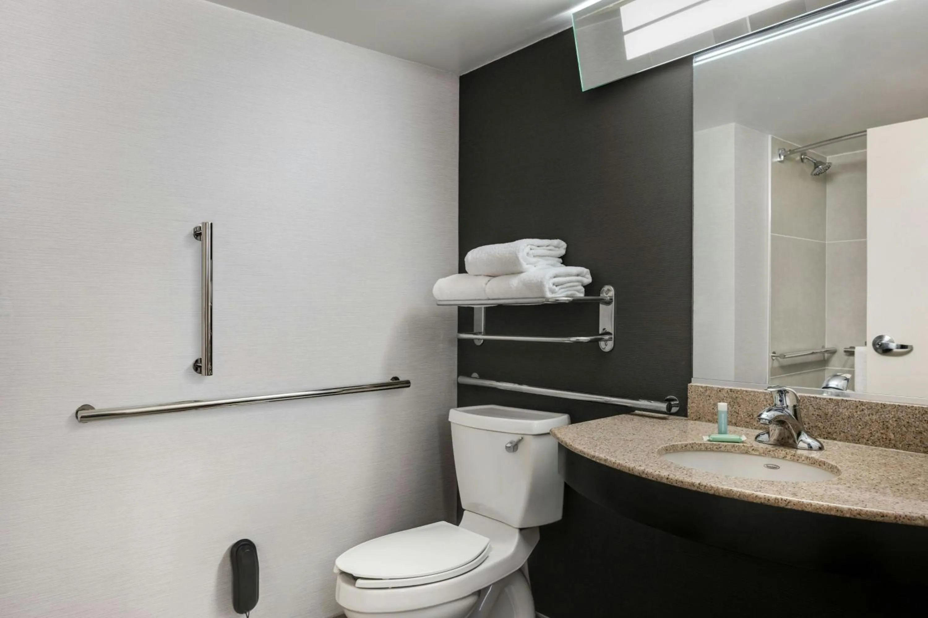 Bathroom in Courtyard Hamilton