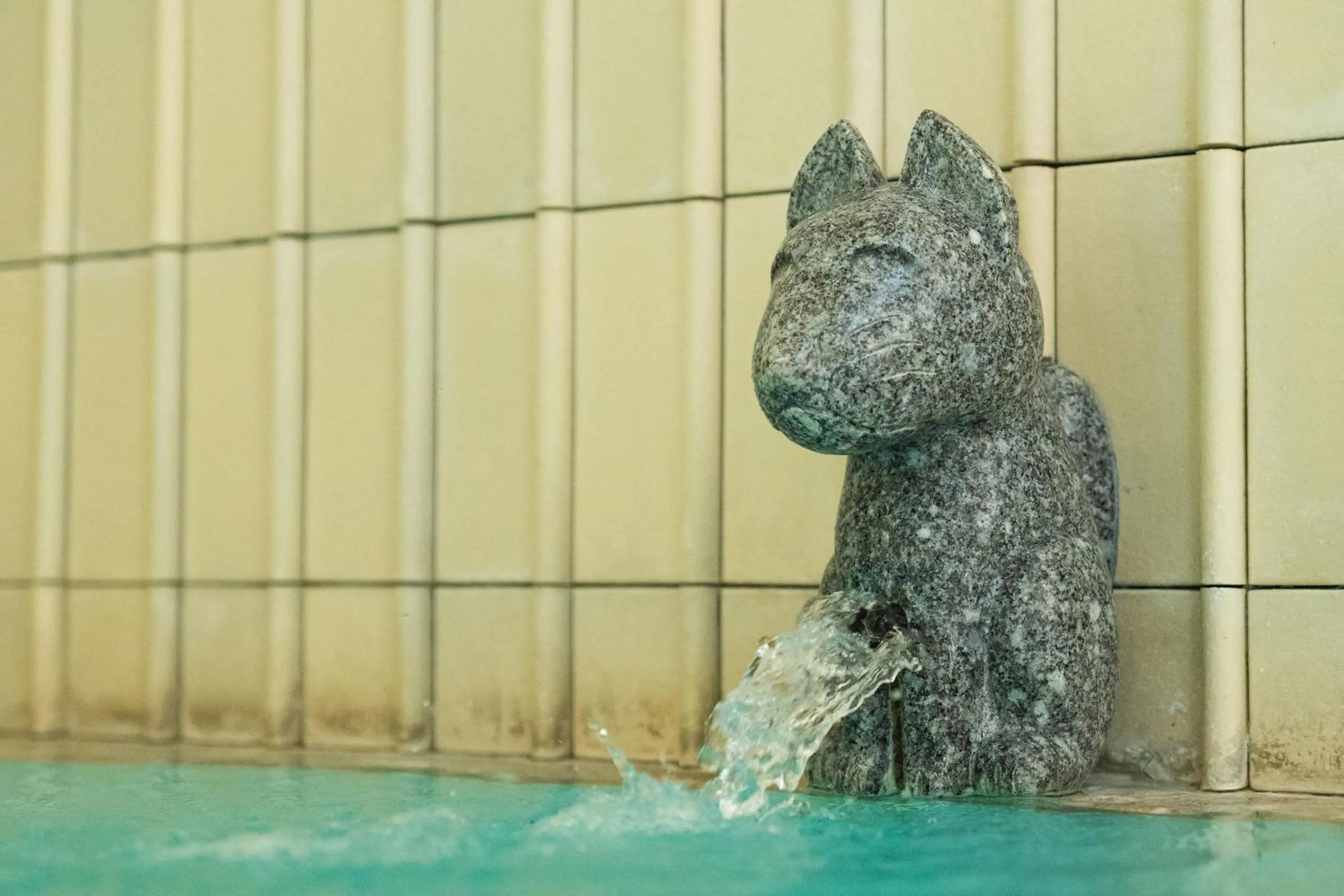 Public Bath in Business Hotel Ueno