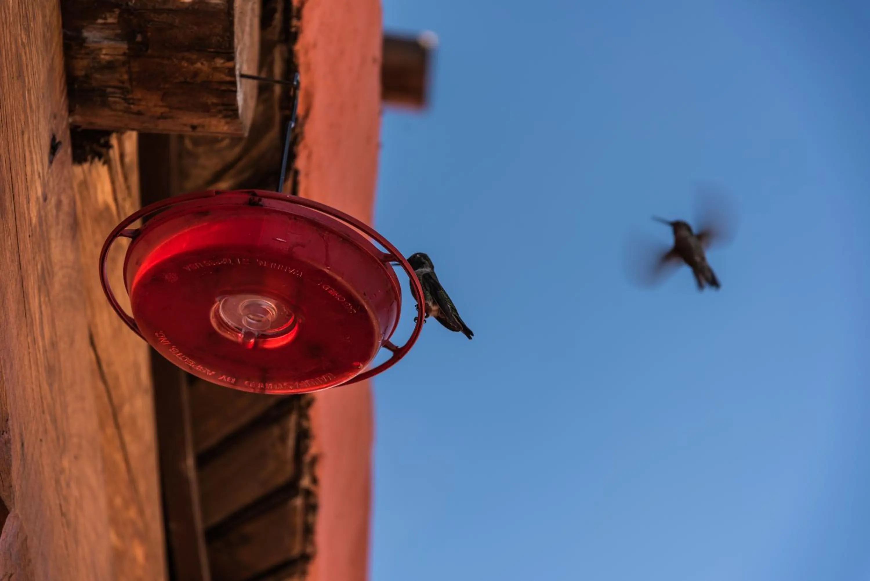 Hotel El Mirador - Balderrama Hotel Collection