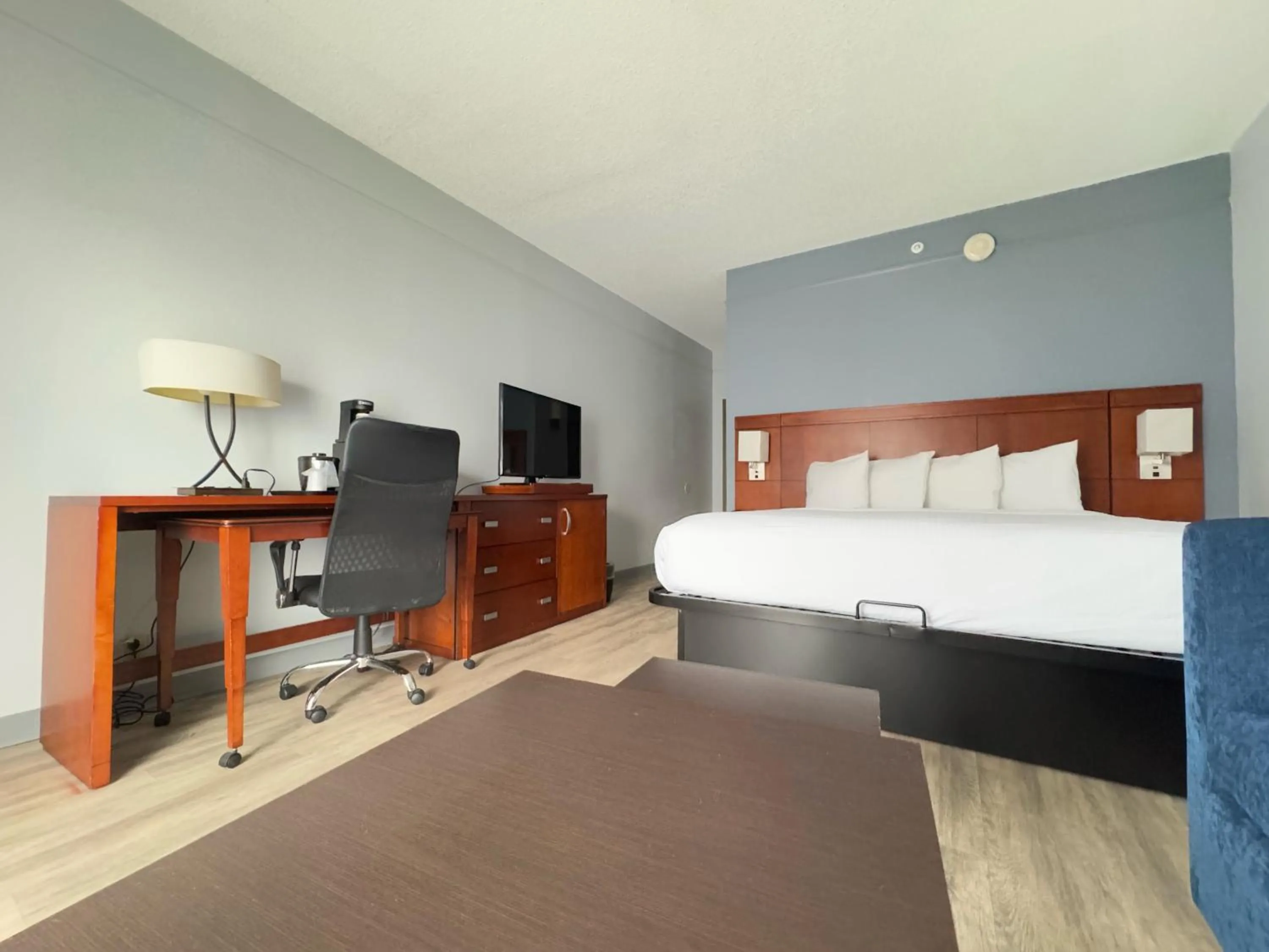 Bed in Super 8 by Wyndham Dallas Love Field Airport