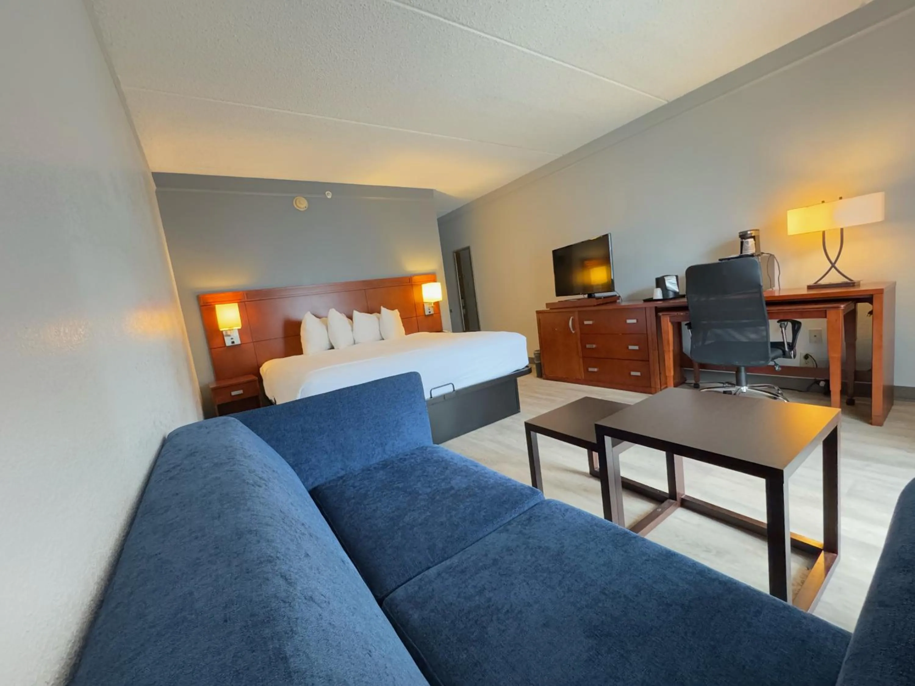 Bed in Super 8 by Wyndham Dallas Love Field Airport