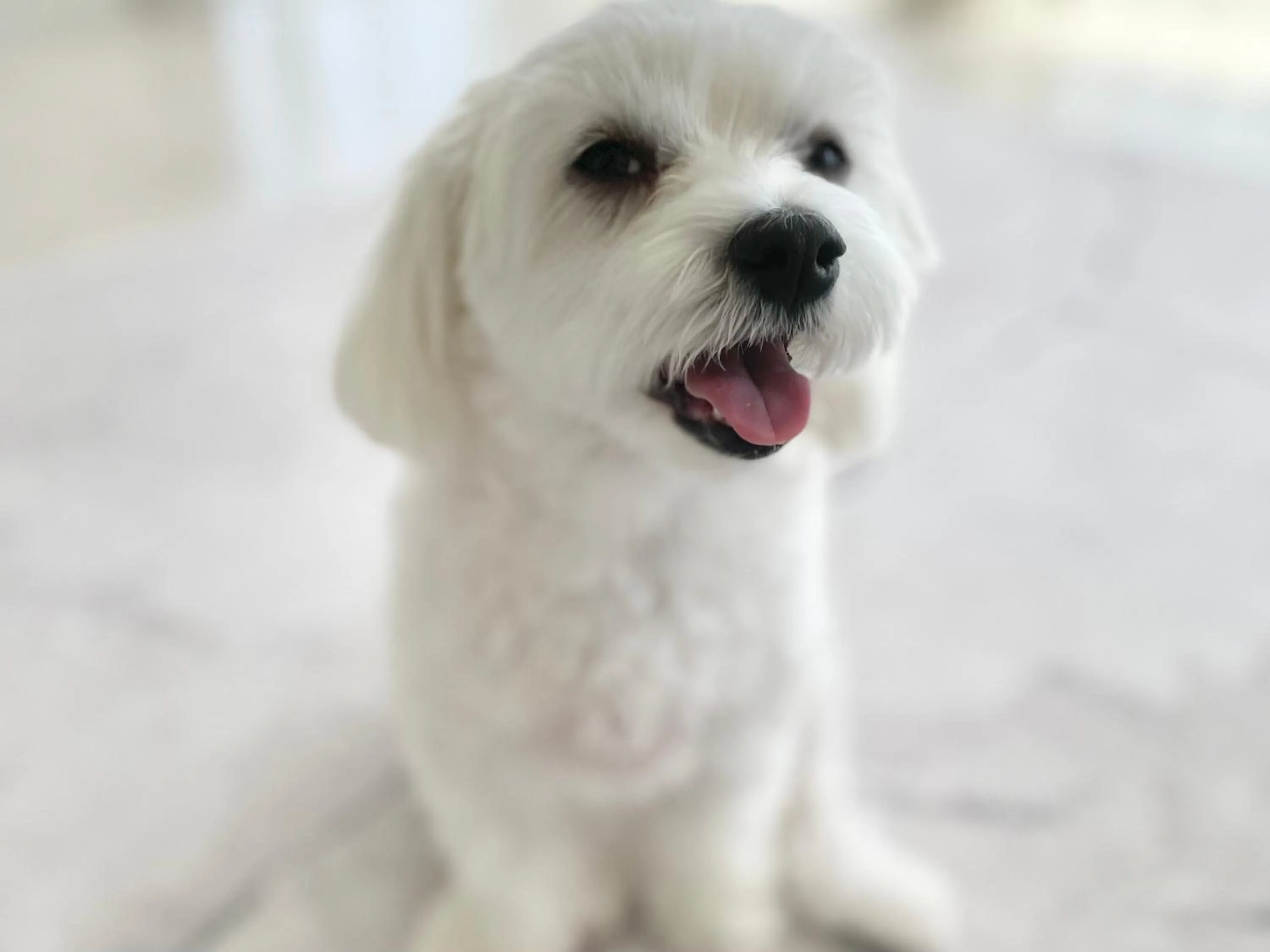 Marine House KAKISAKI