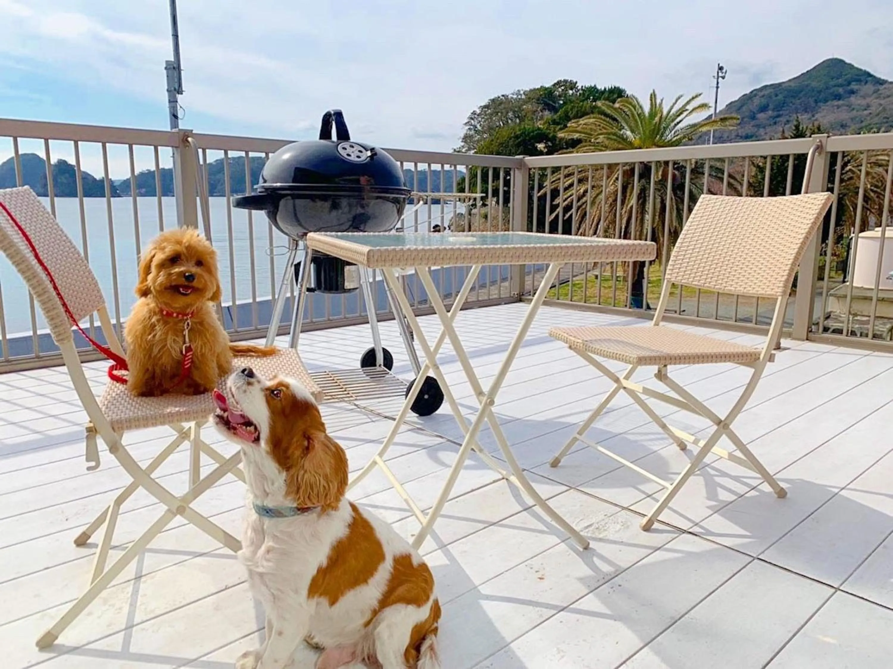 Animals in Marine House KAKISAKI