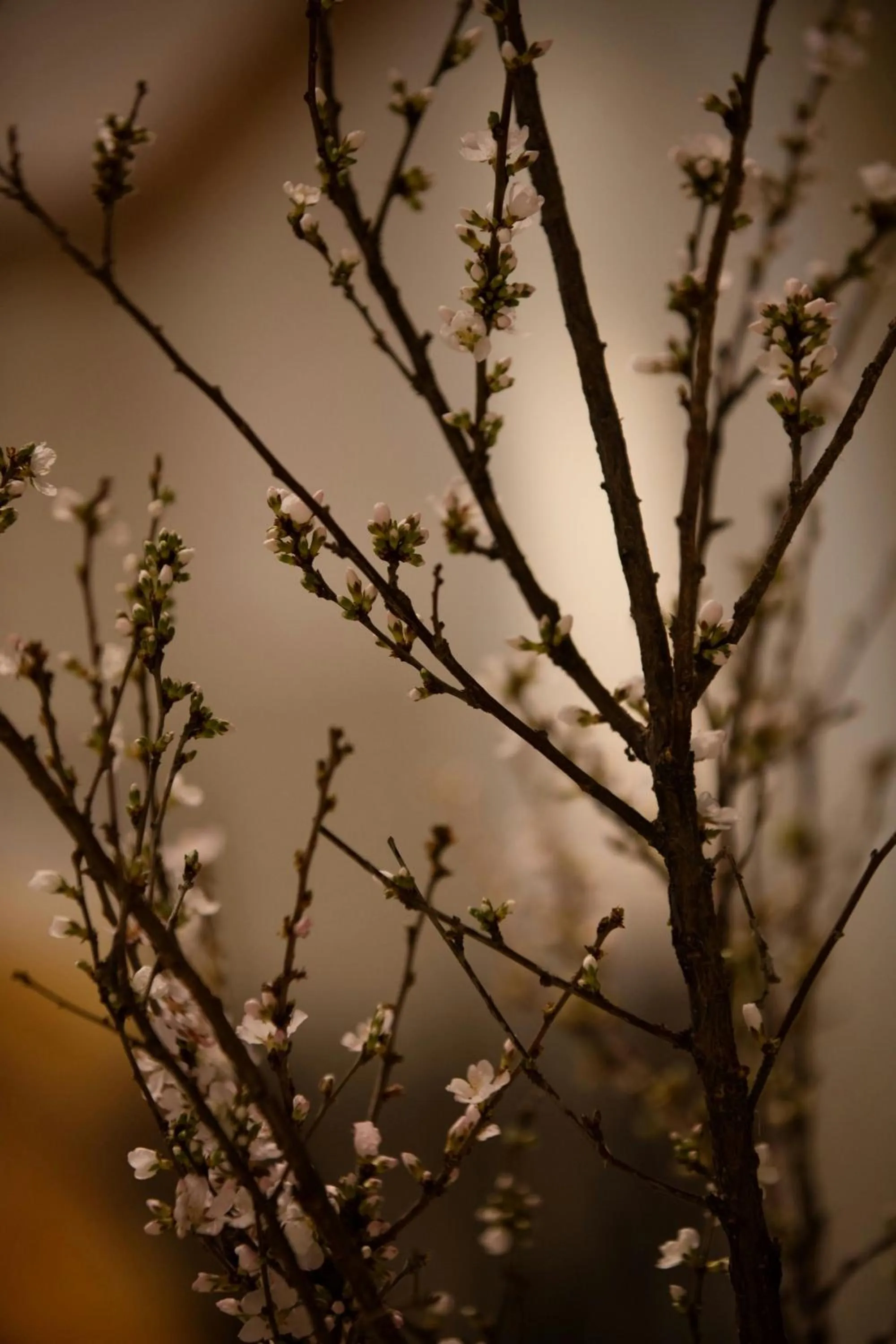Lobby or reception in Renaissance Boulder Flatiron Hotel