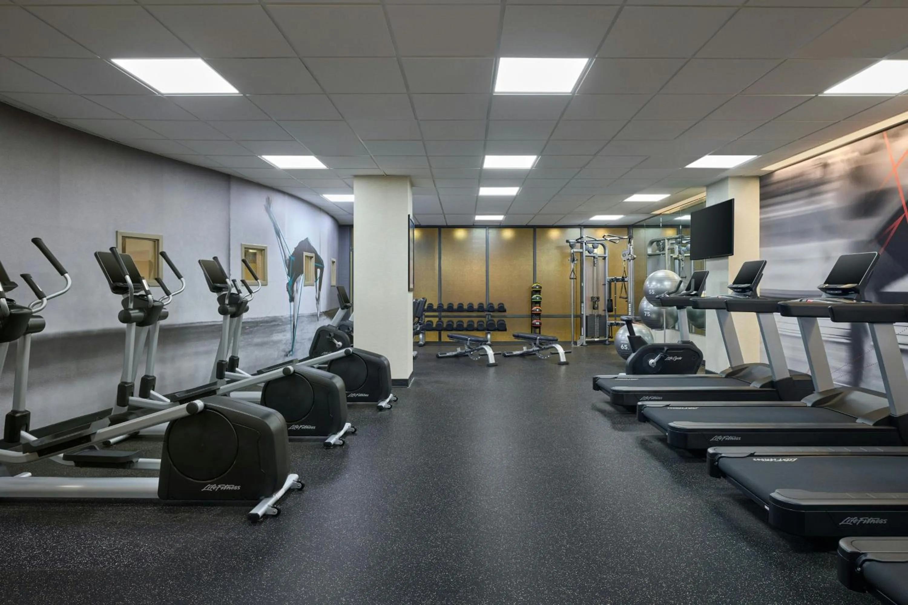 Fitness centre/facilities in Denver Marriott South at Park Meadows