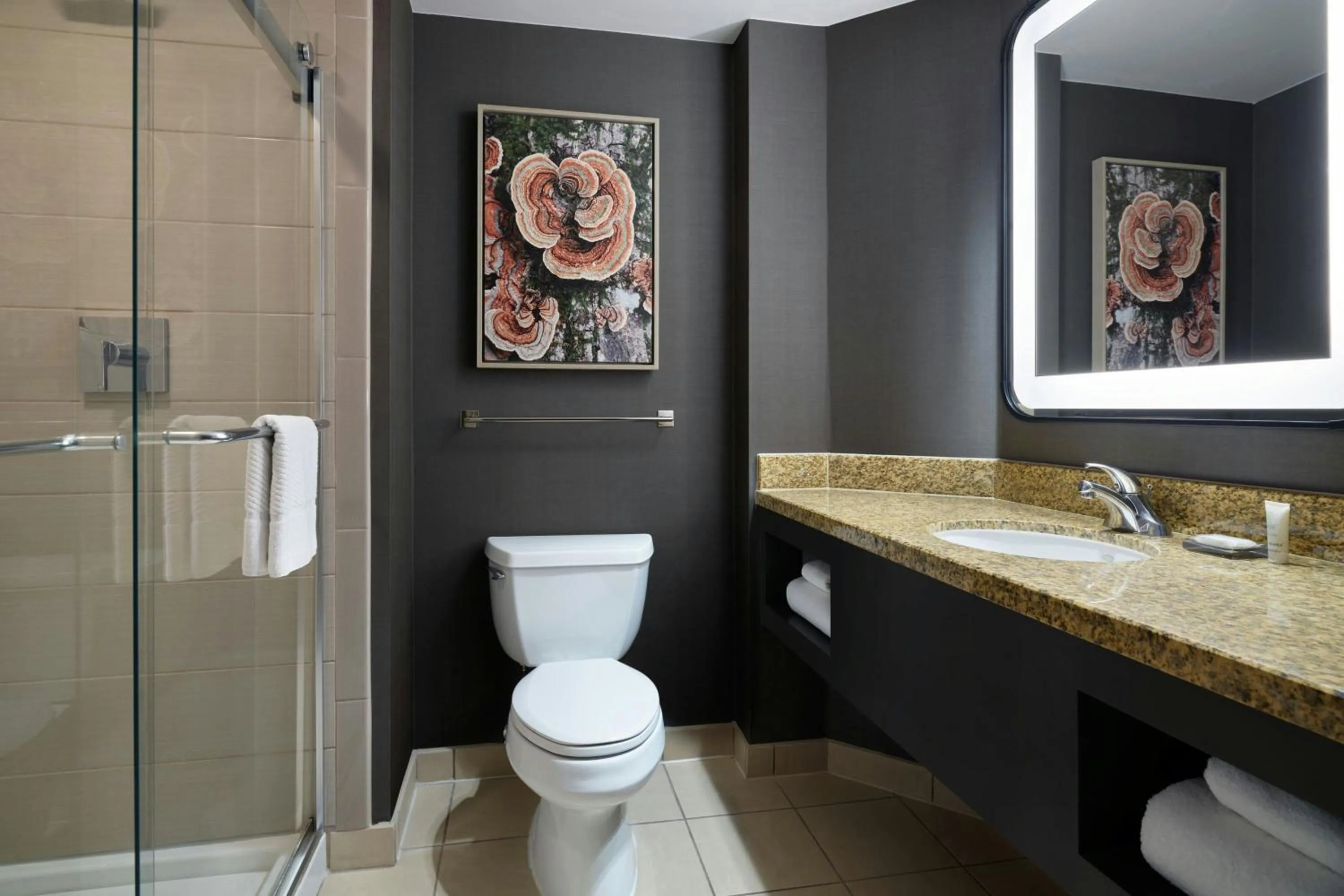 Bathroom in Denver Marriott South at Park Meadows