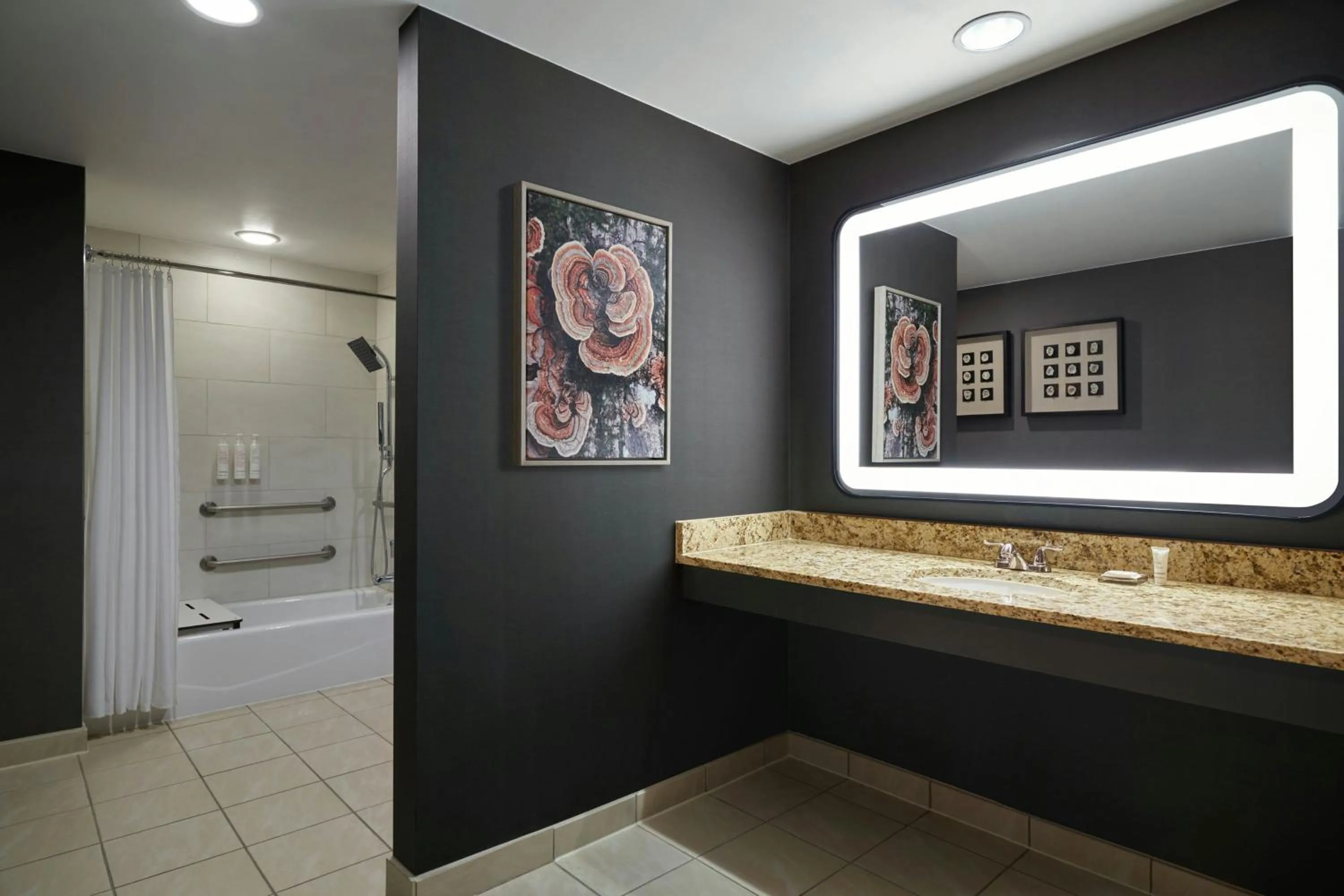 Bathroom in Denver Marriott South at Park Meadows