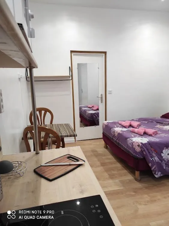 Bed in Hôtel Lyonnais