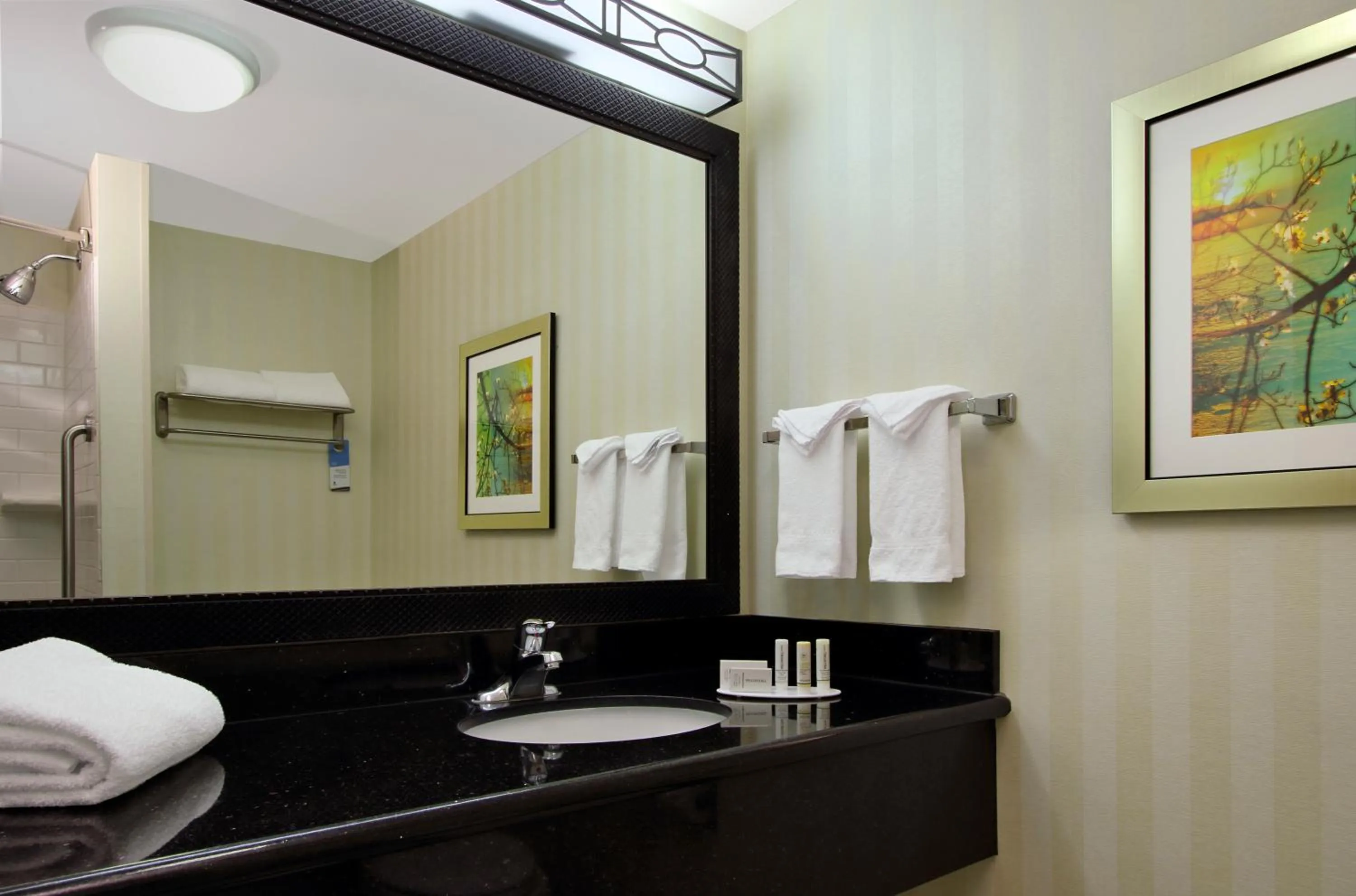 Bathroom in Fairfield Inn & Suites Fresno Clovis