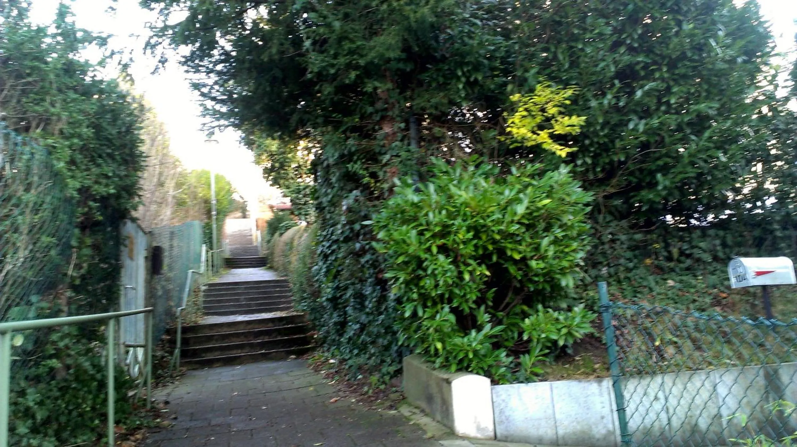 Petite Bellevue II