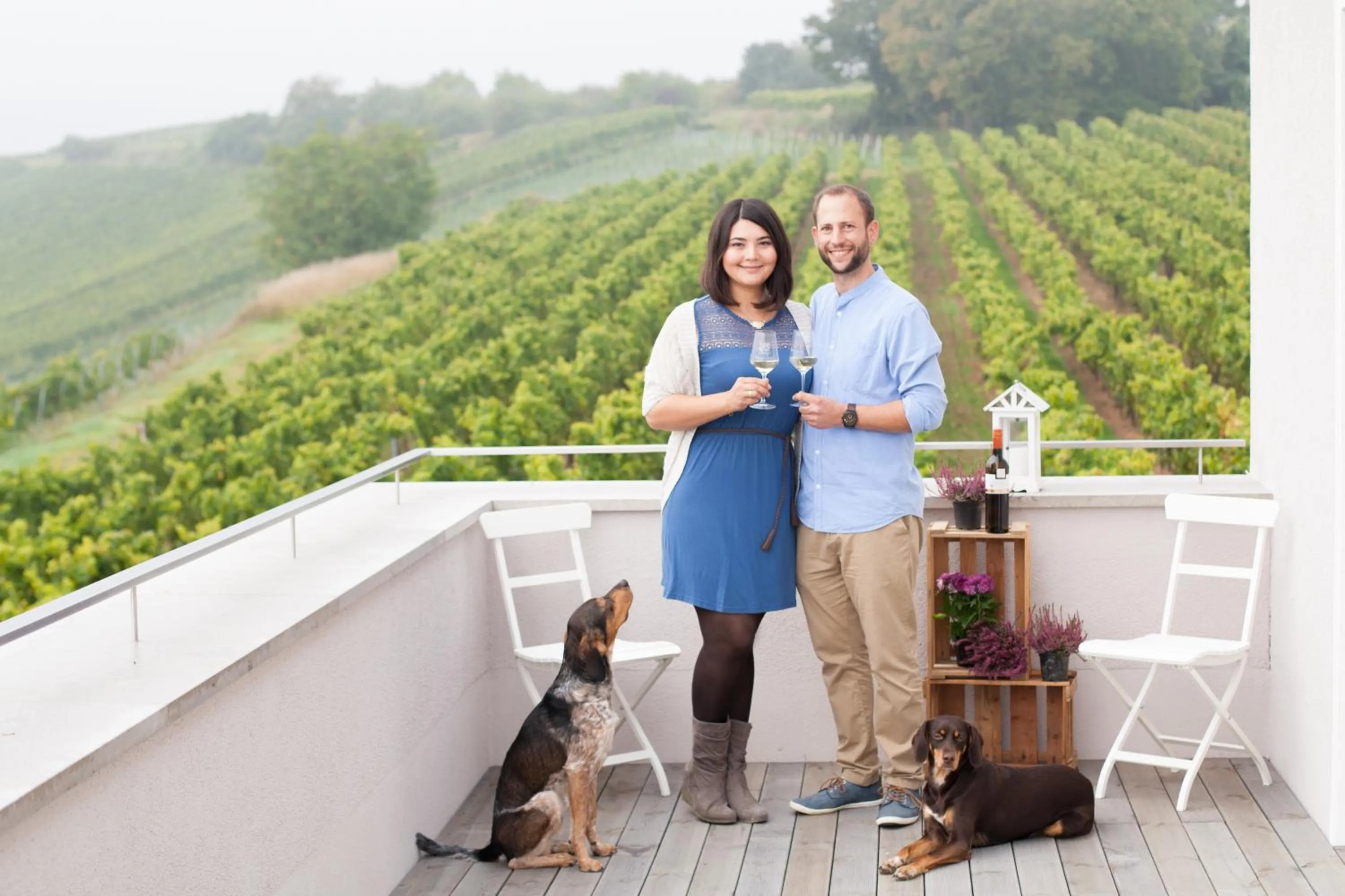 Day in Winzerhotel Trautwein